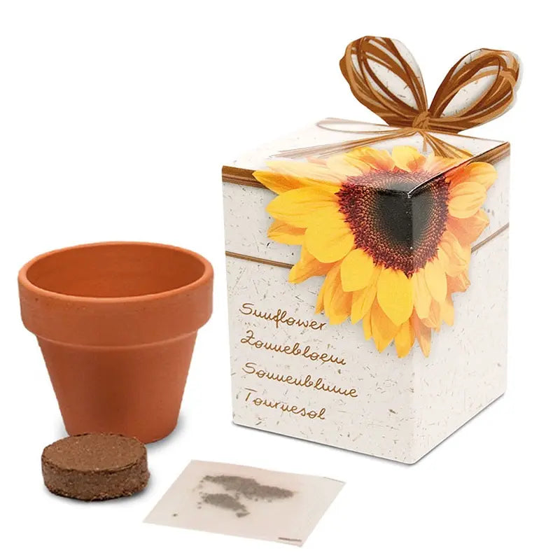 Flower growing kits 6cm