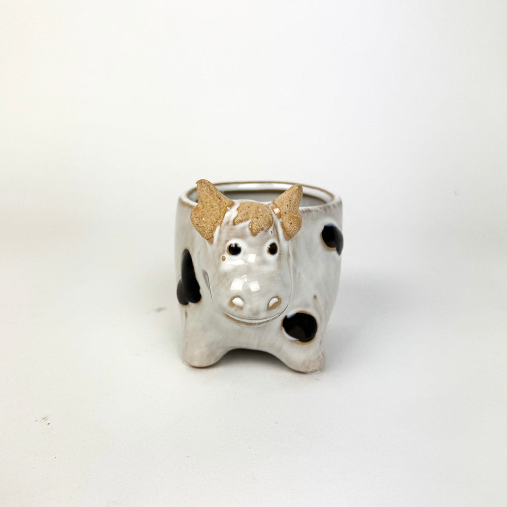 Mini Animal Ceramic pots