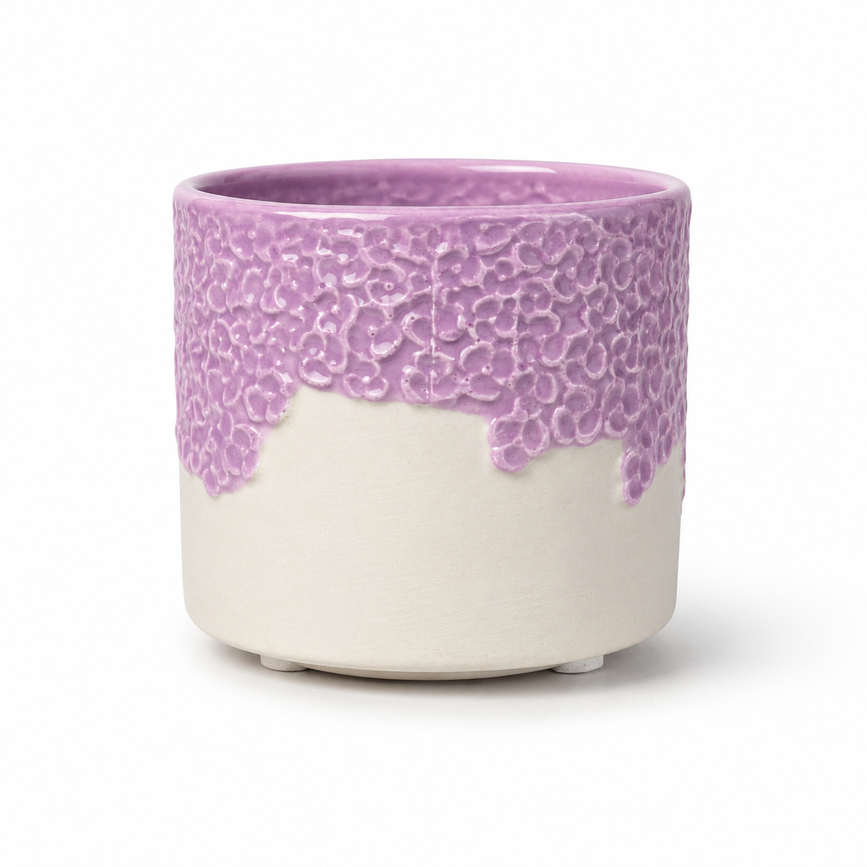 Desk Buddy Plant & Pot Bundle