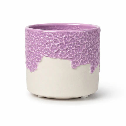 Mini 7cm Plant Pots Ceramic pots