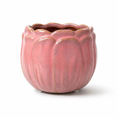 Mini 7cm Plant Pots Ceramic pots