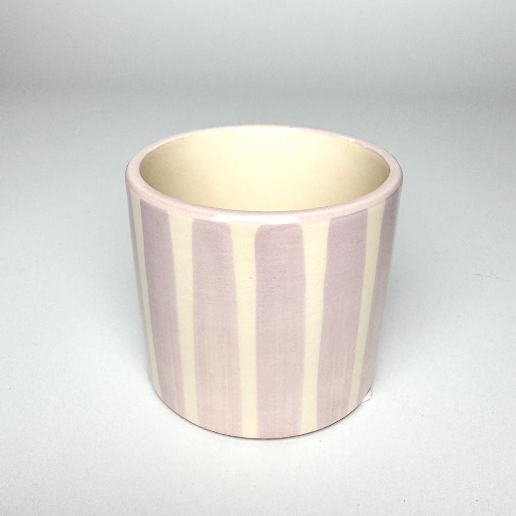 Desk Buddy Plant & Pot Bundle