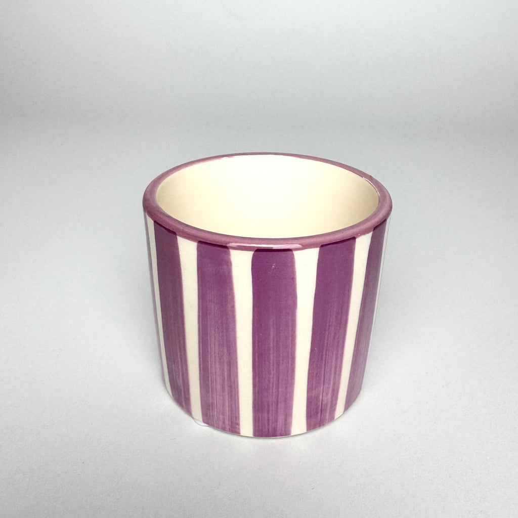 Desk Buddy Plant & Pot Bundle