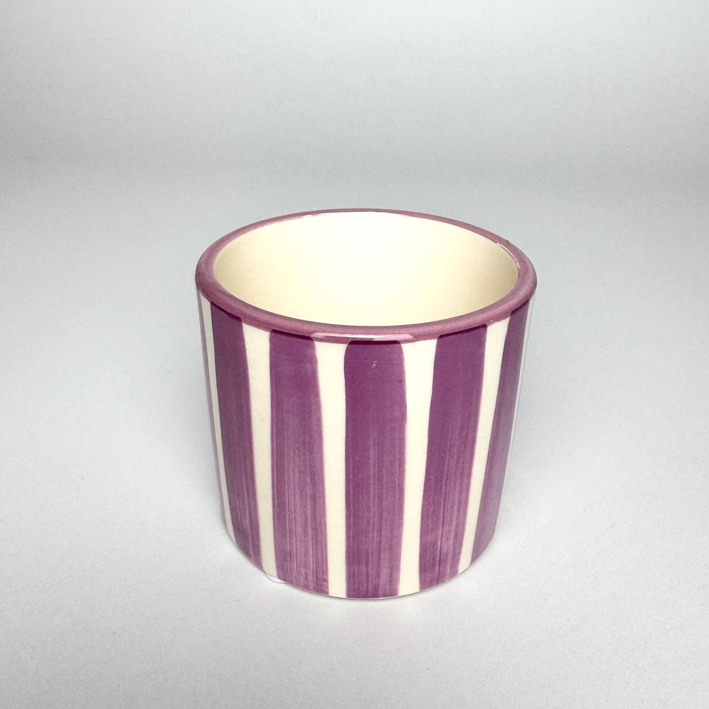 Desk Buddy Plant & Pot Bundle