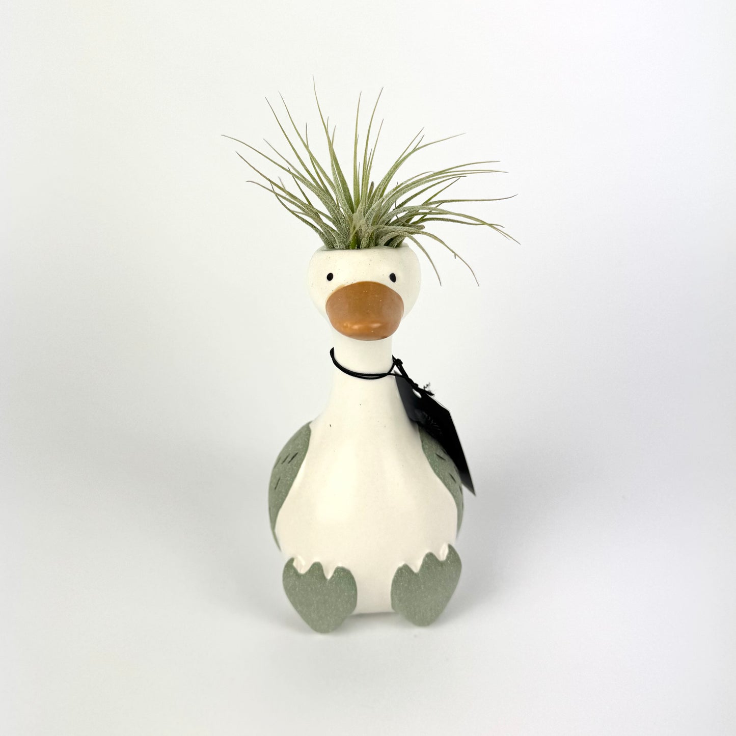 Tillandsia Silly Goose Ceramic