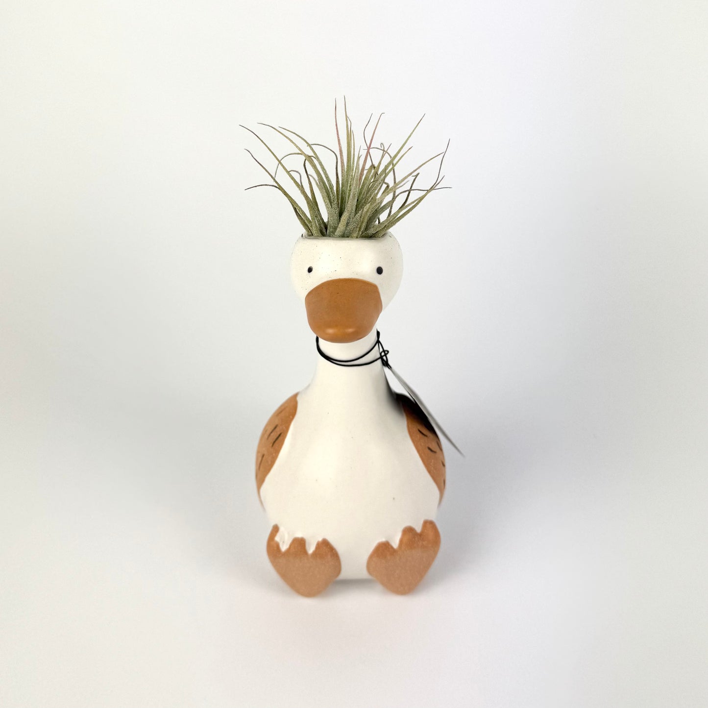 Tillandsia Silly Goose Ceramic