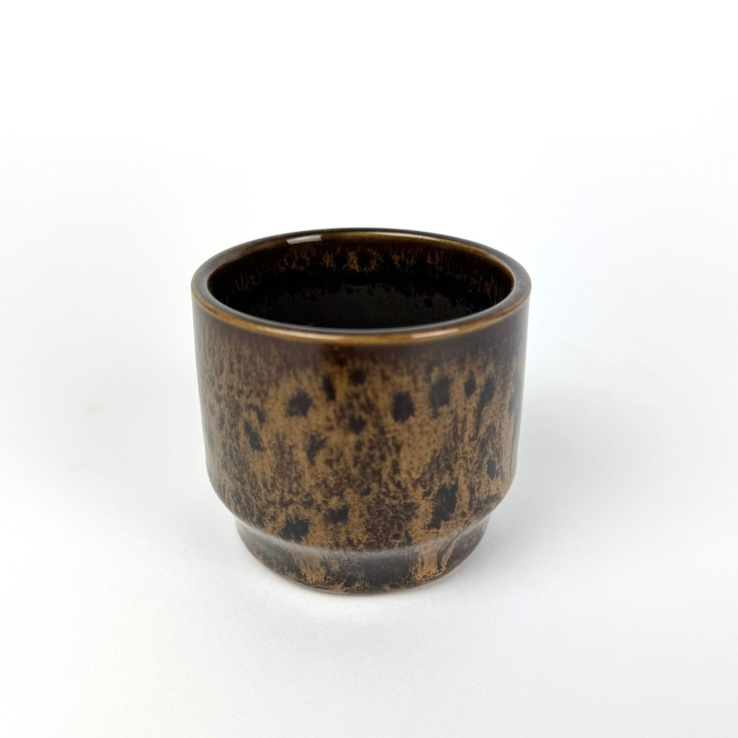 Desk Buddy Plant & Pot Bundle