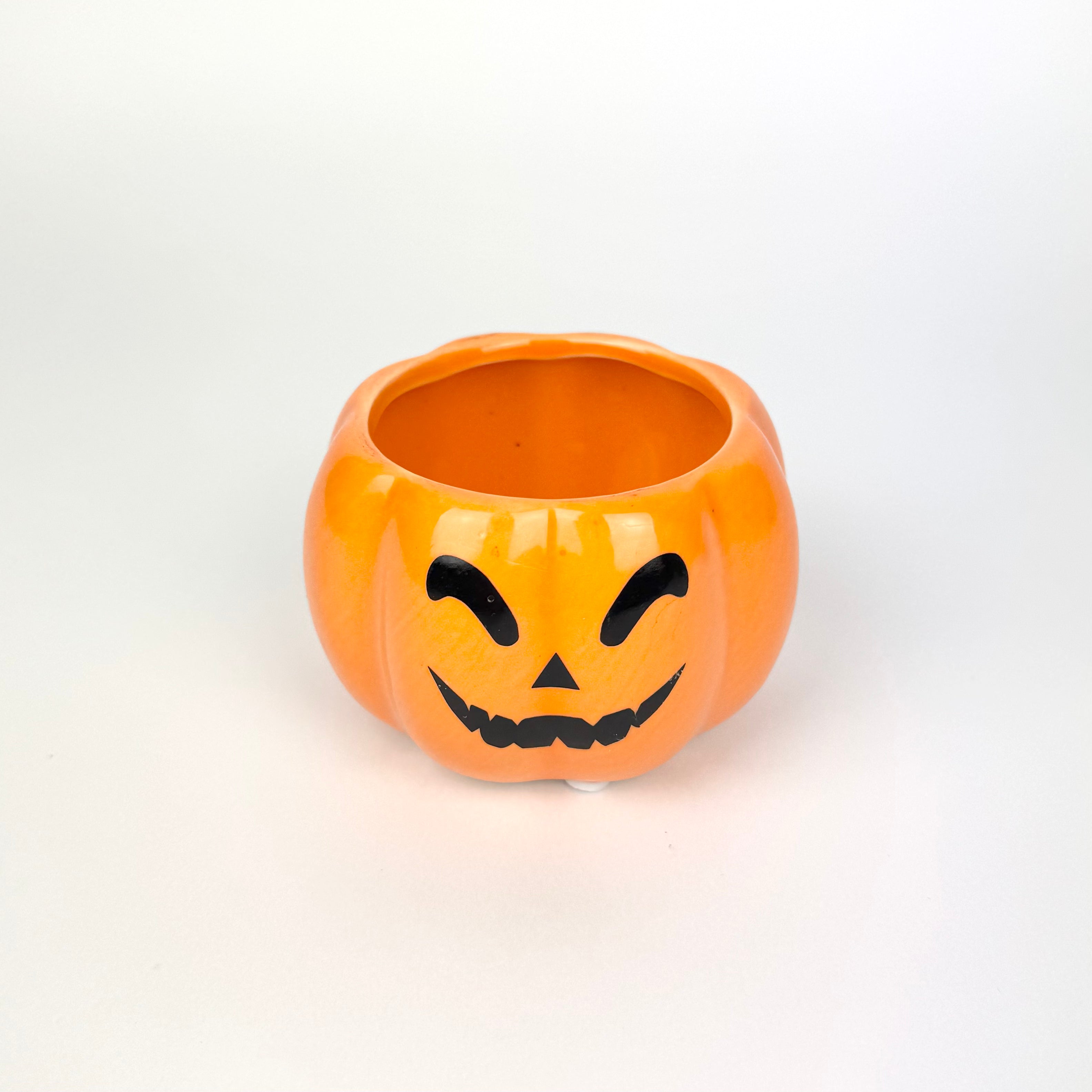 Desk Buddy Plant & Pot Bundle