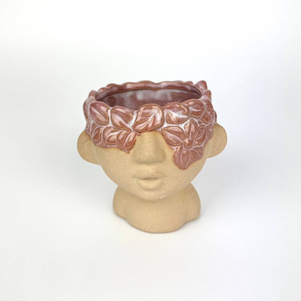 Desk Buddy Plant & Pot Bundle