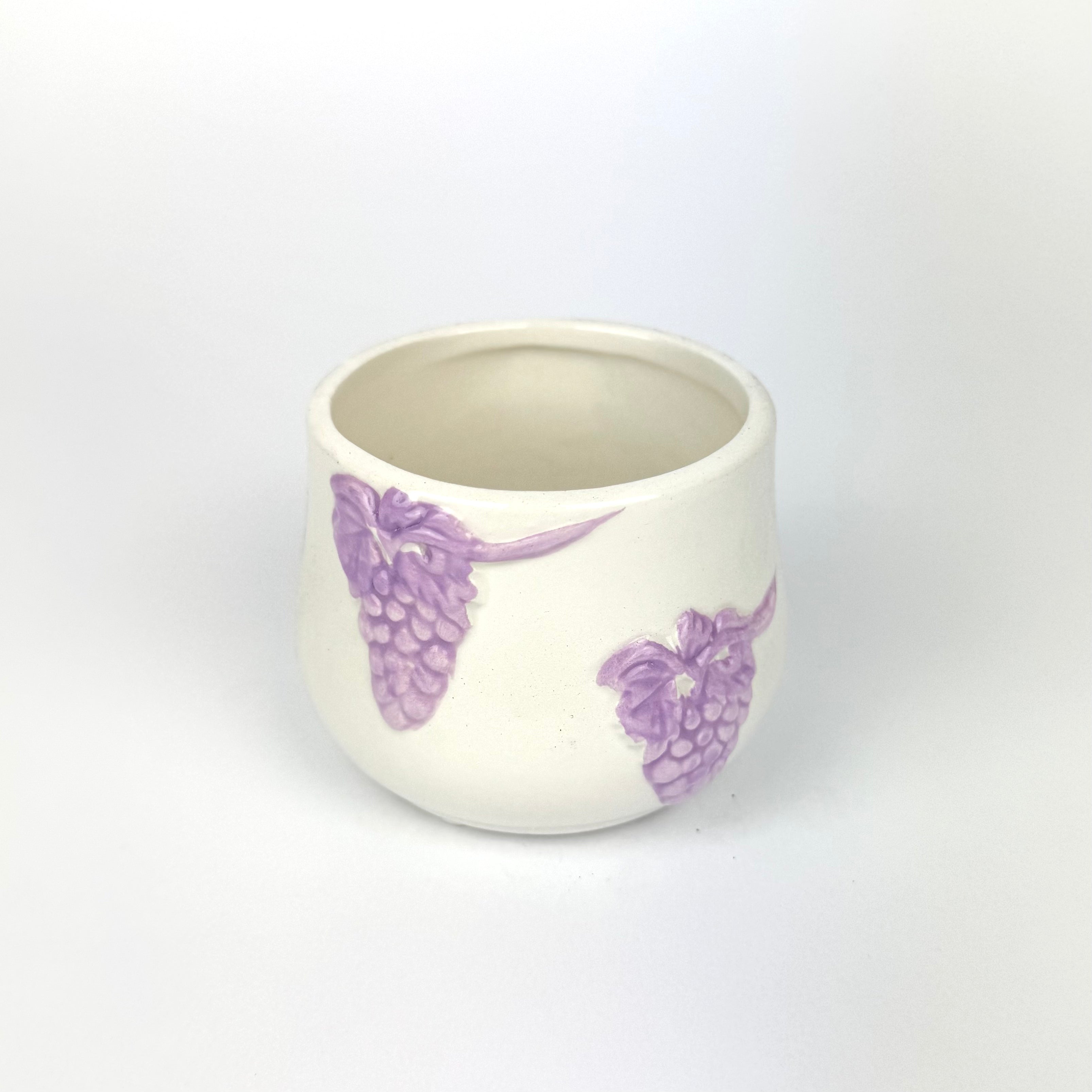 Desk Buddy Plant & Pot Bundle