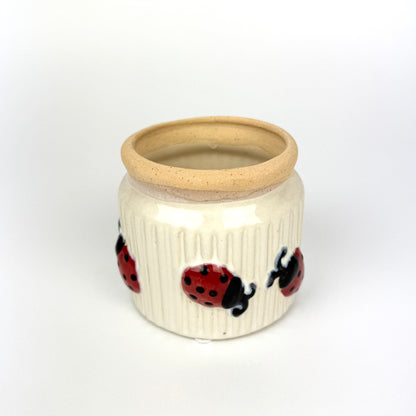 Mini 7cm Plant Pots Ceramic pots