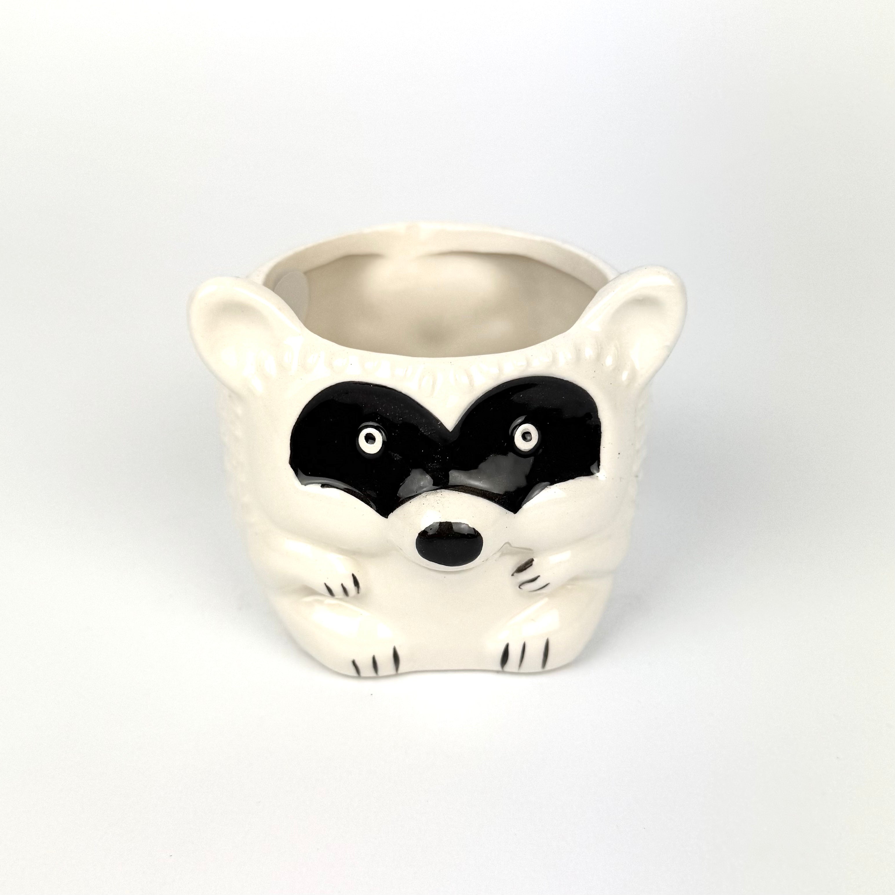 Desk Buddy Plant & Pot Bundle