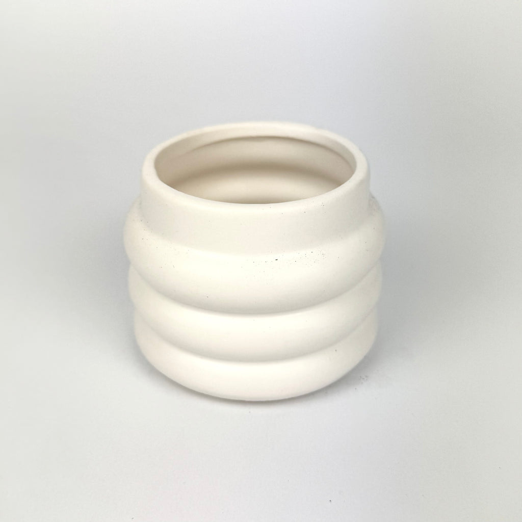 Desk Buddy Plant & Pot Bundle