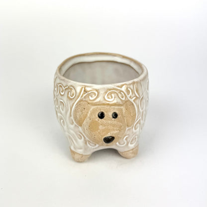 Mini 7cm Plant Pots Ceramic pots