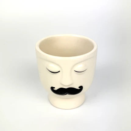 Desk Buddy Plant & Pot Bundle