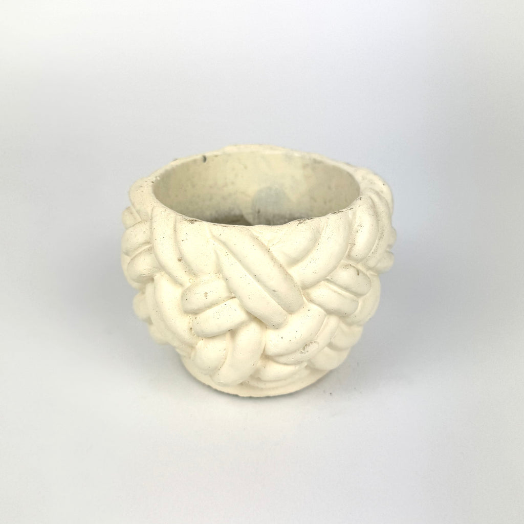 Desk Buddy Plant & Pot Bundle