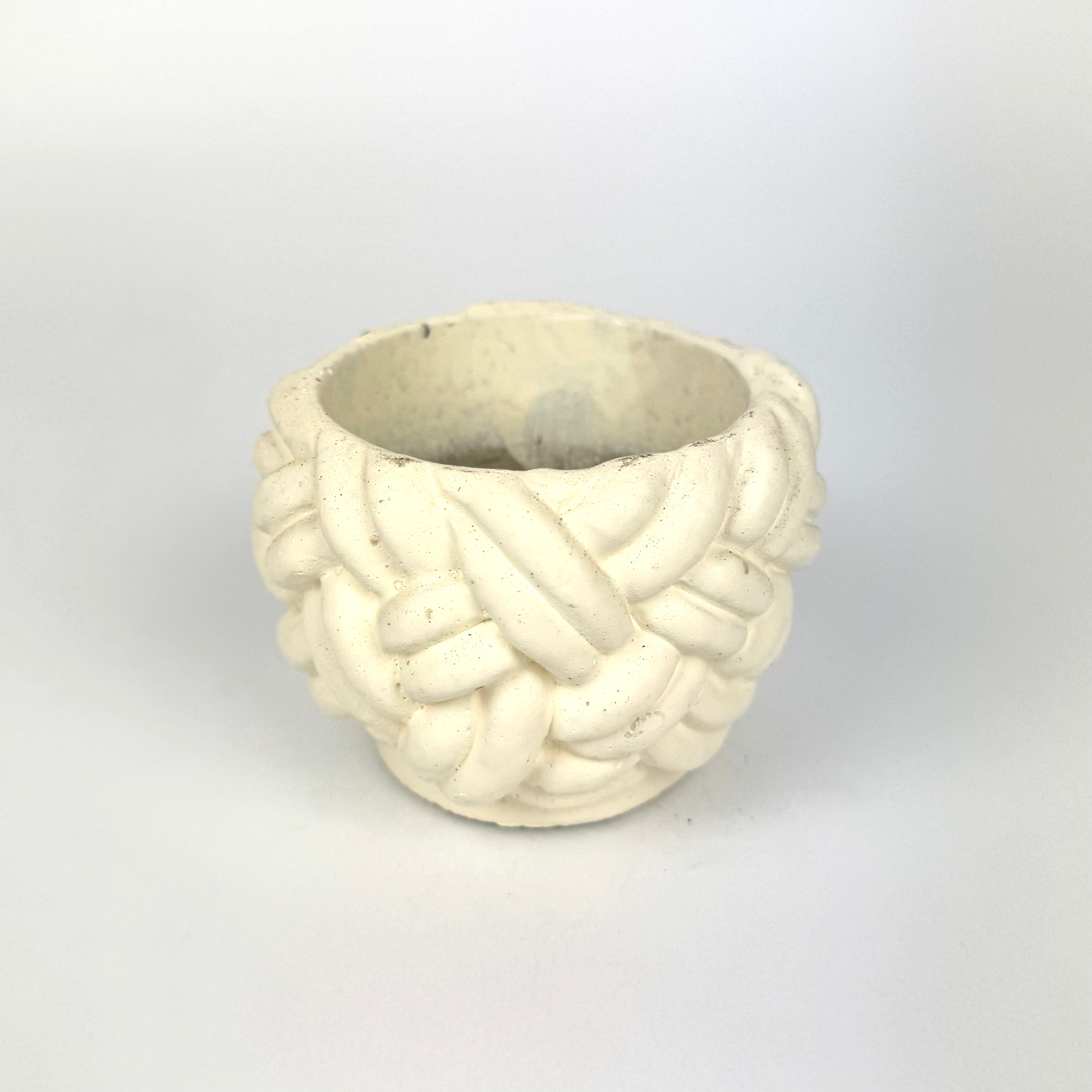 Desk Buddy Plant & Pot Bundle