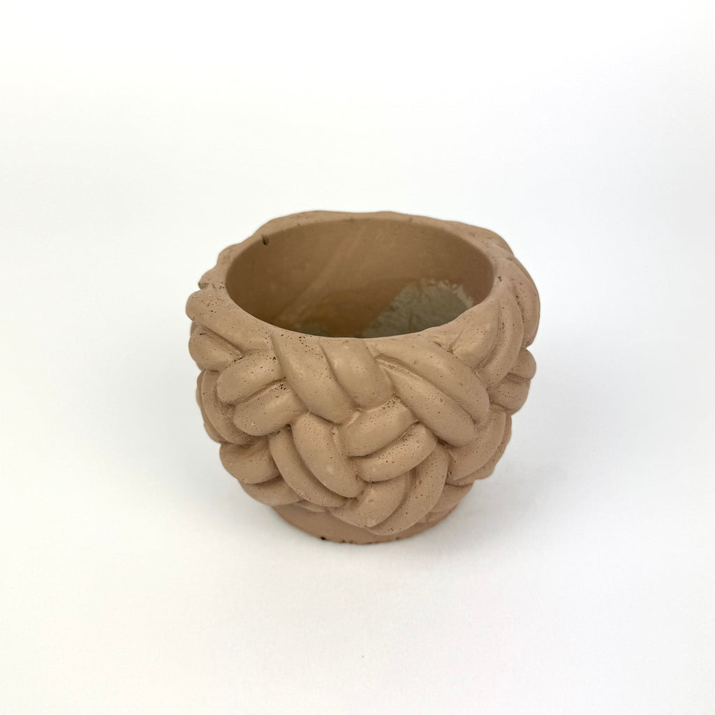 Desk Buddy Plant & Pot Bundle