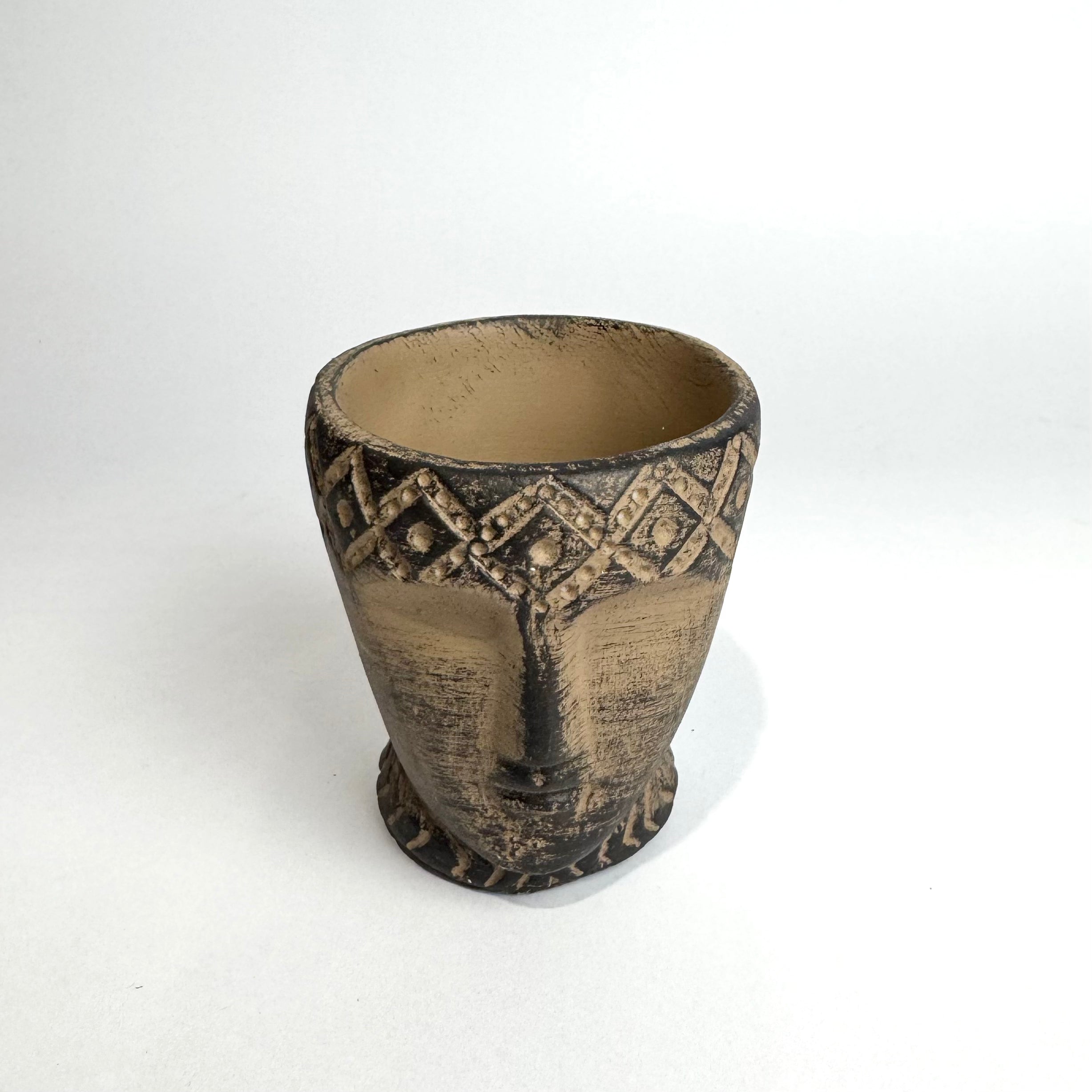 Desk Buddy Plant & Pot Bundle