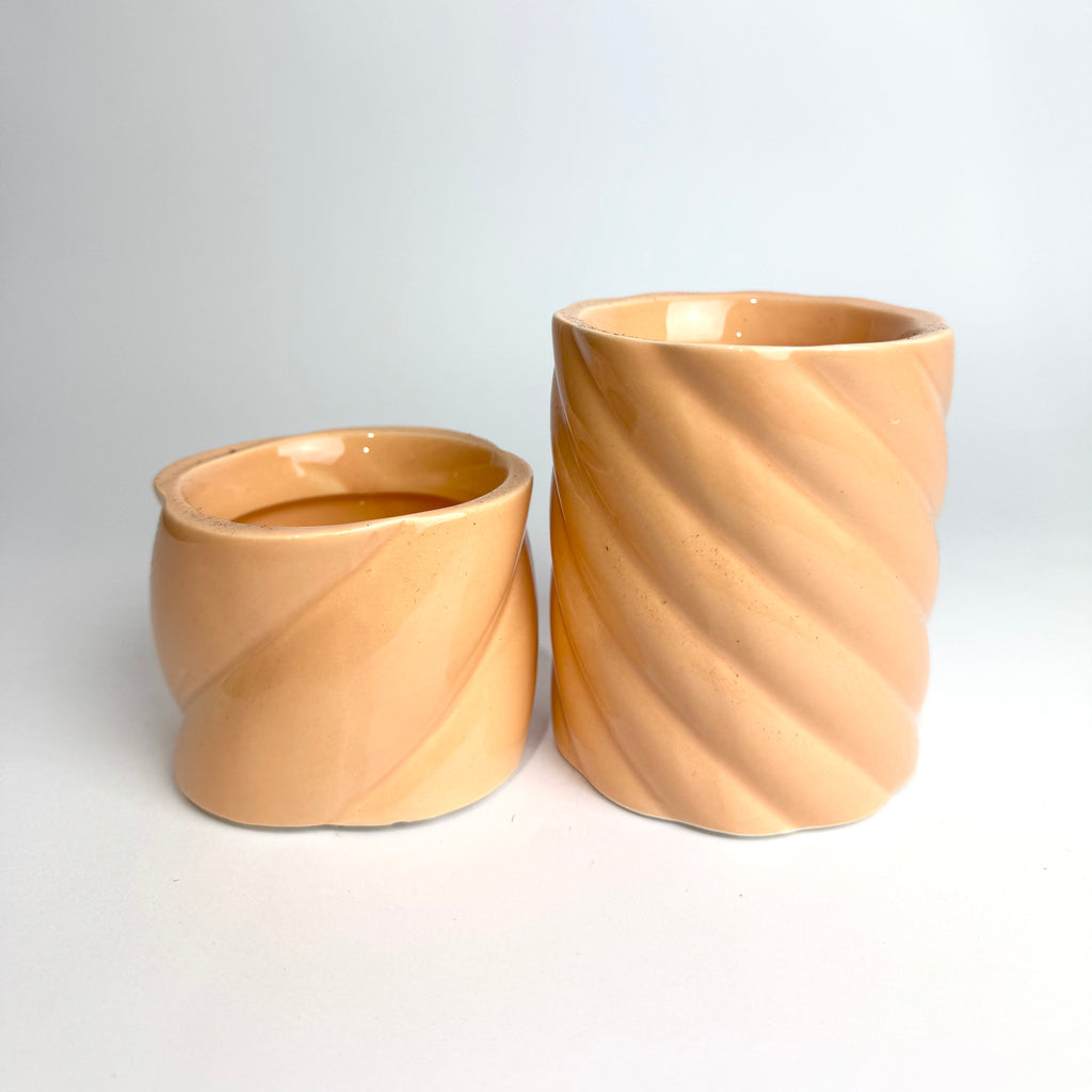 Desk Buddy Plant & Pot Bundle