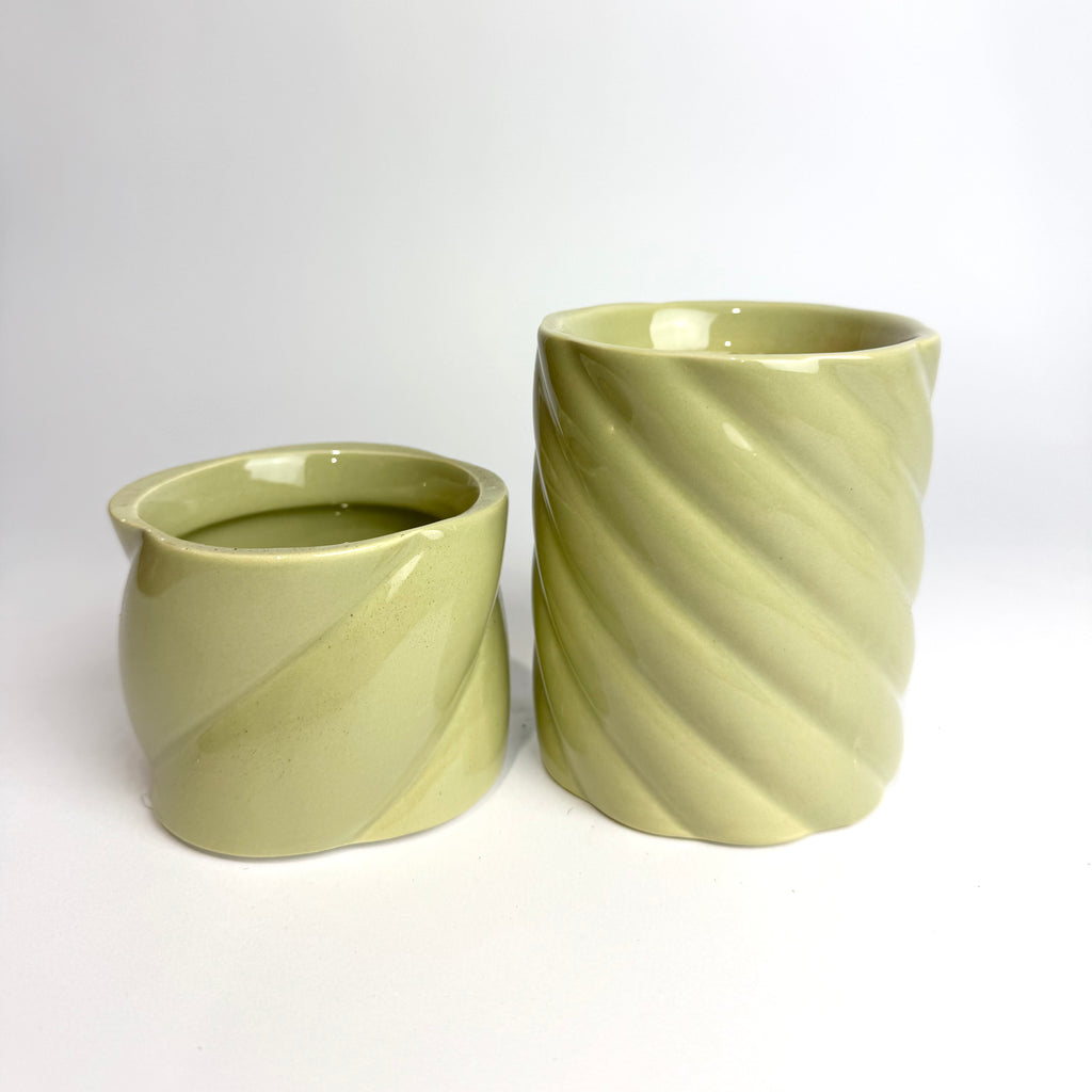 Desk Buddy Plant & Pot Bundle