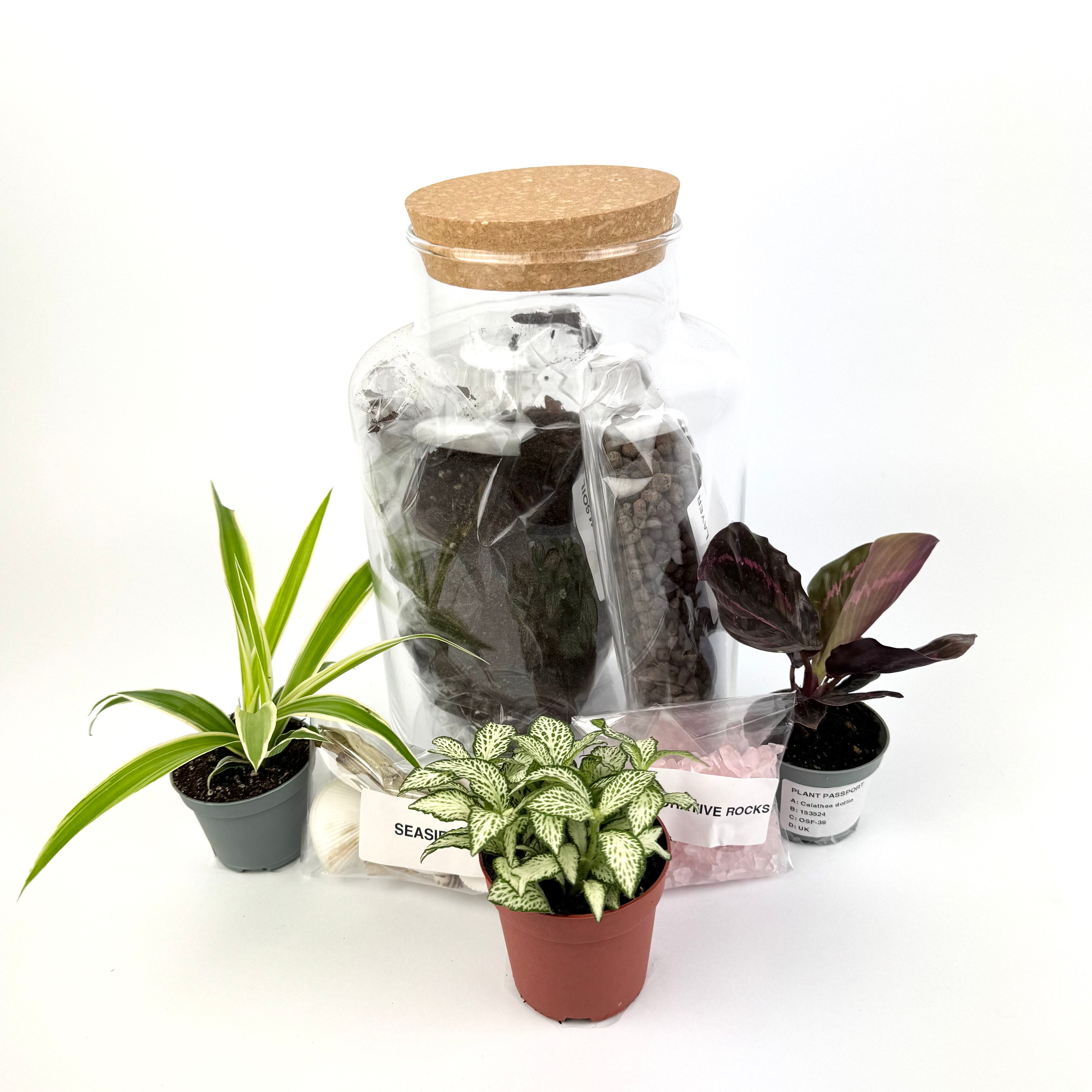 Diy Closed Terrarium Kit