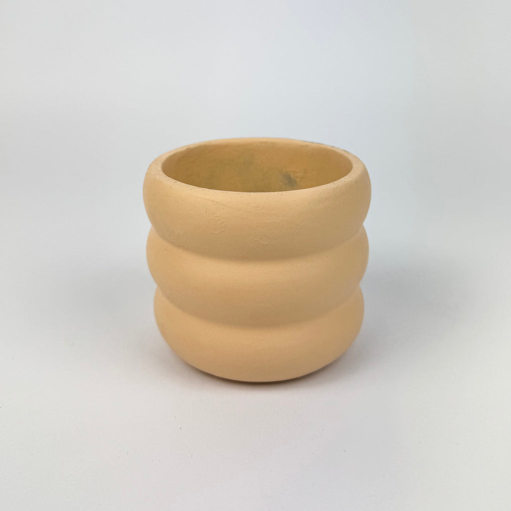 Desk Buddy Plant & Pot Bundle