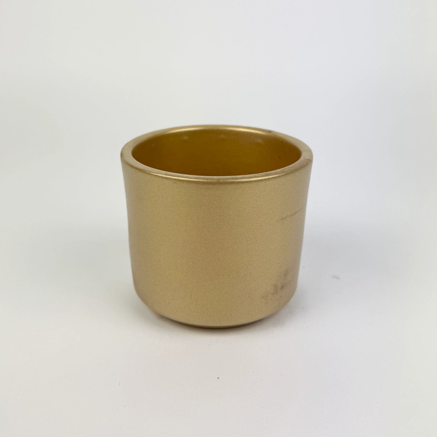 Desk Buddy Plant & Pot Bundle