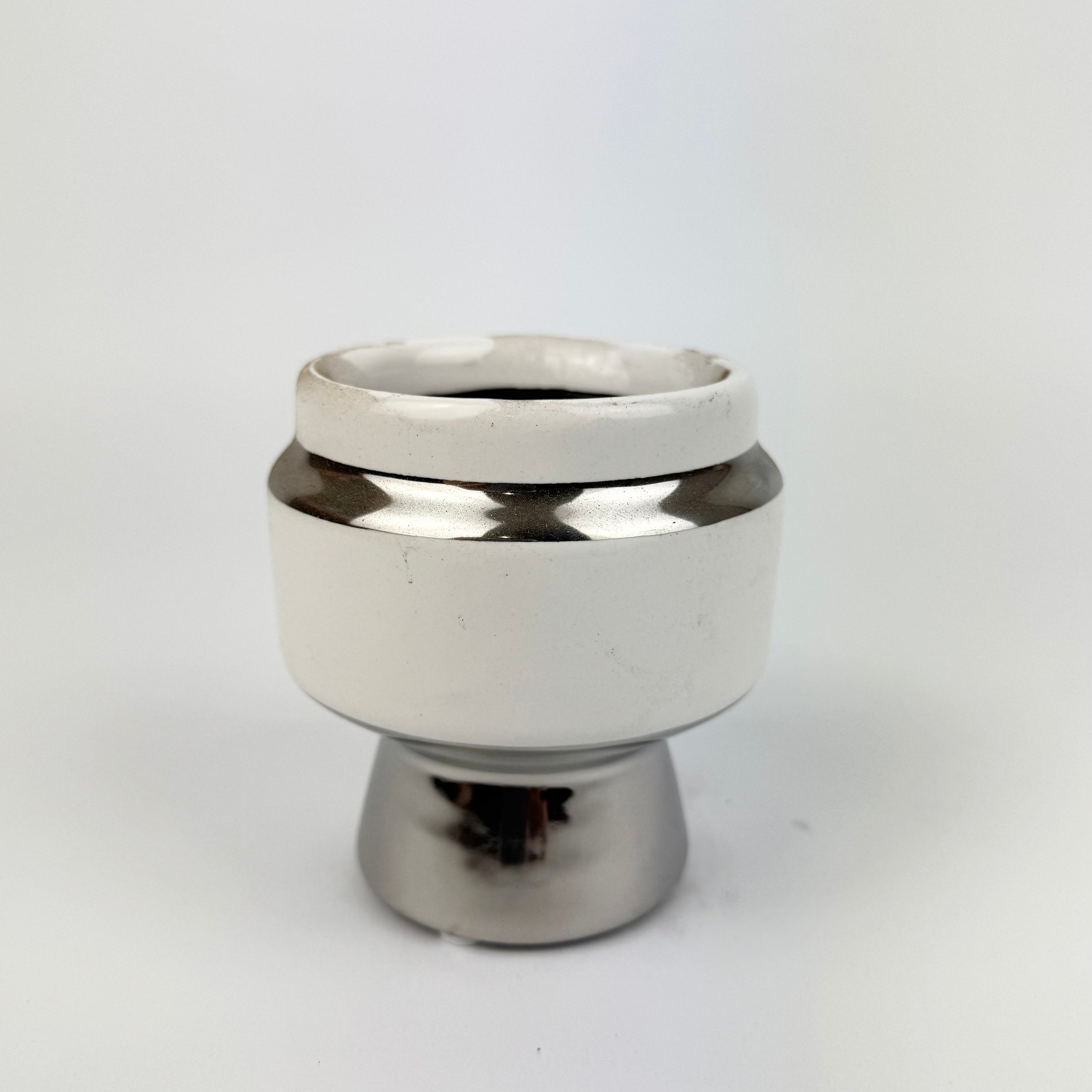 Desk Buddy Plant & Pot Bundle