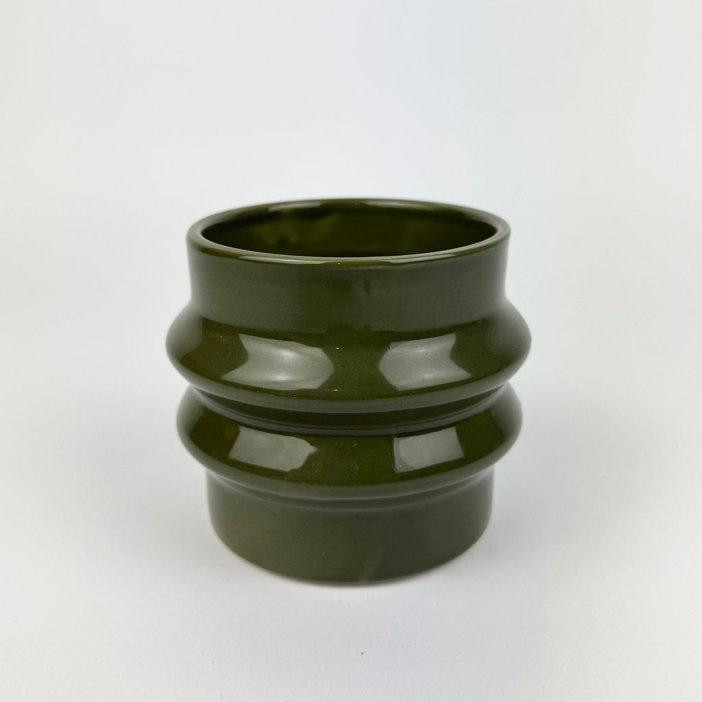 Desk Buddy Plant & Pot Bundle