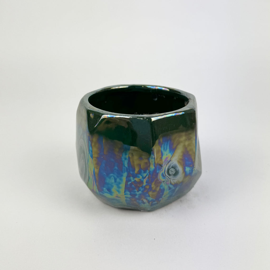 Desk Buddy Plant & Pot Bundle