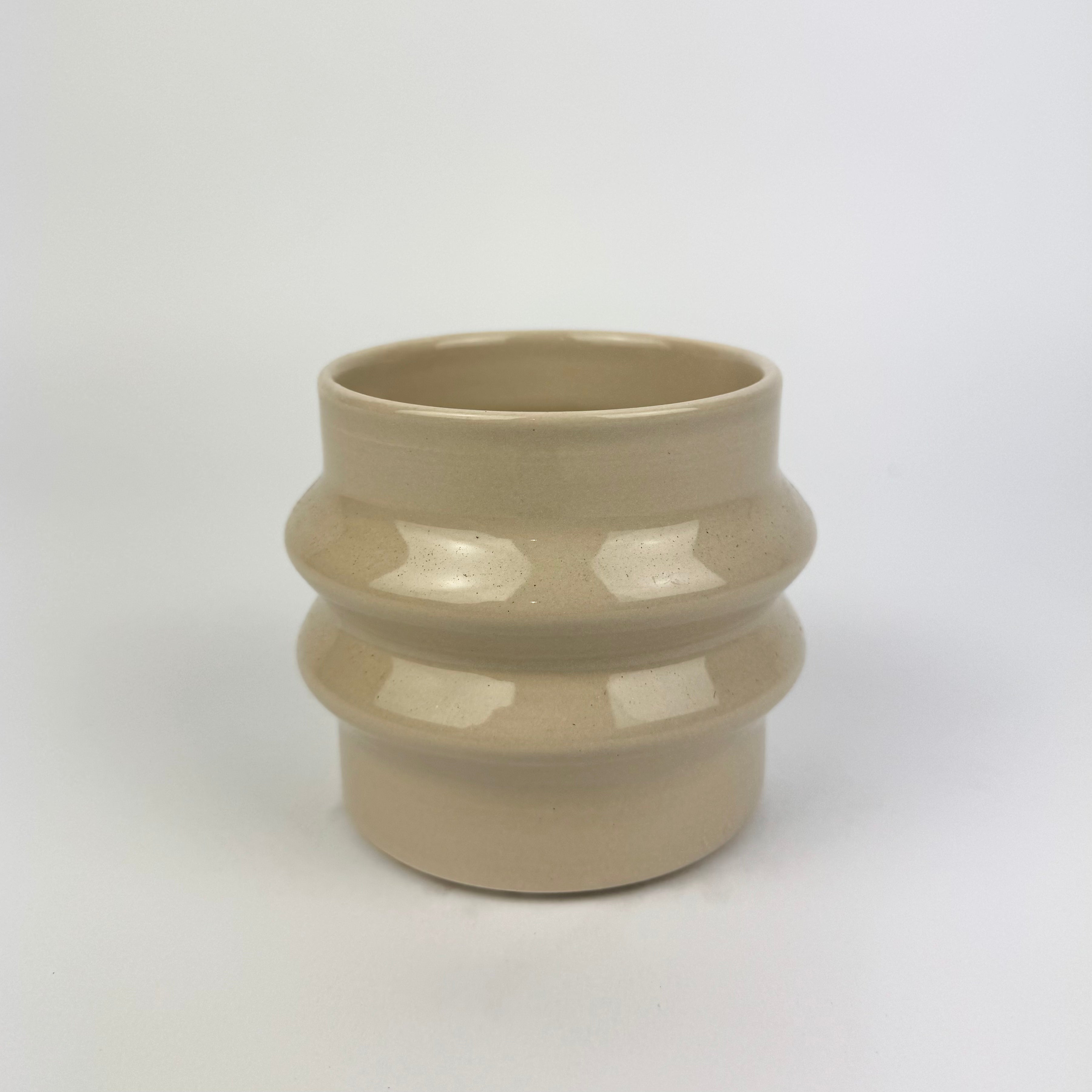 Desk Buddy Plant & Pot Bundle