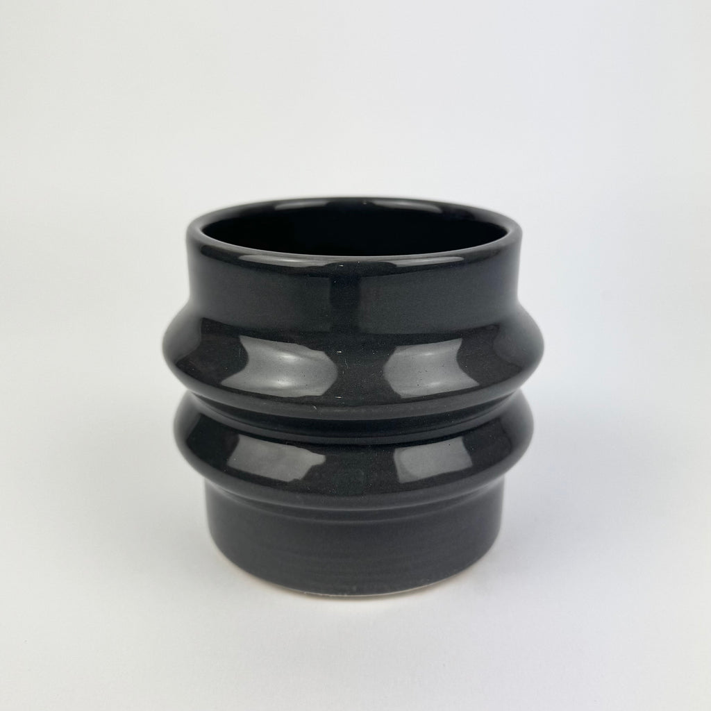 Desk Buddy Plant & Pot Bundle