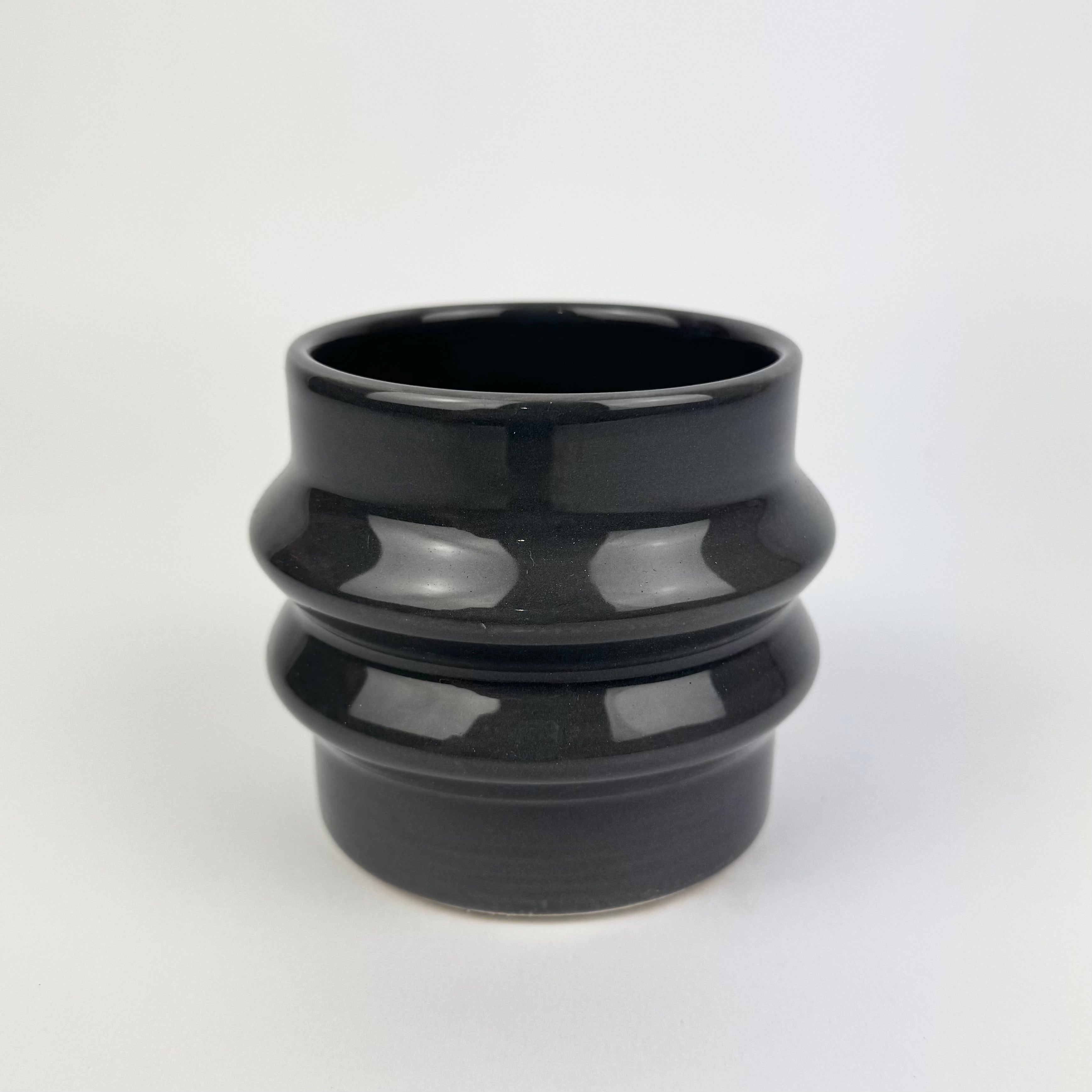 Desk Buddy Plant & Pot Bundle