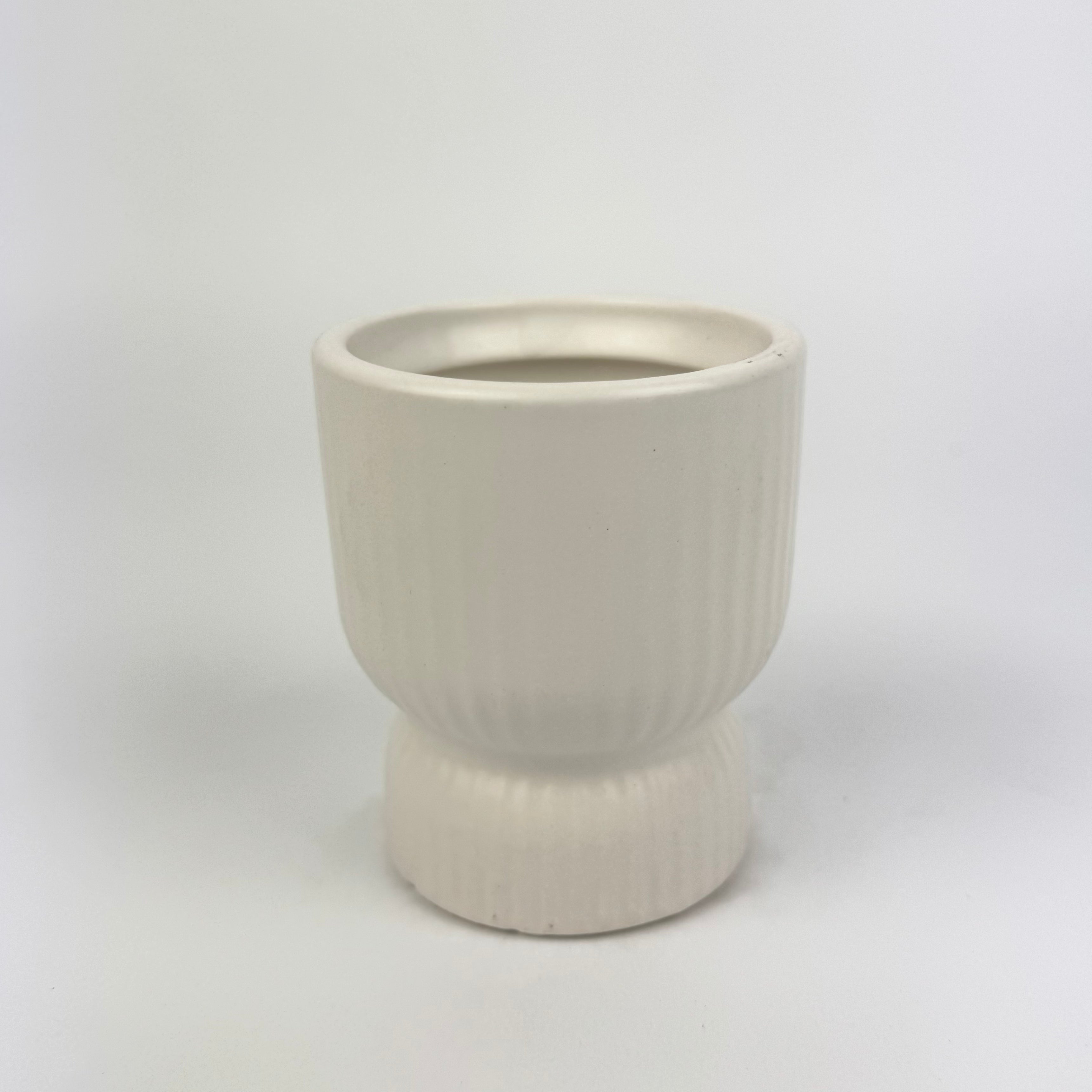 Desk Buddy Plant & Pot Bundle