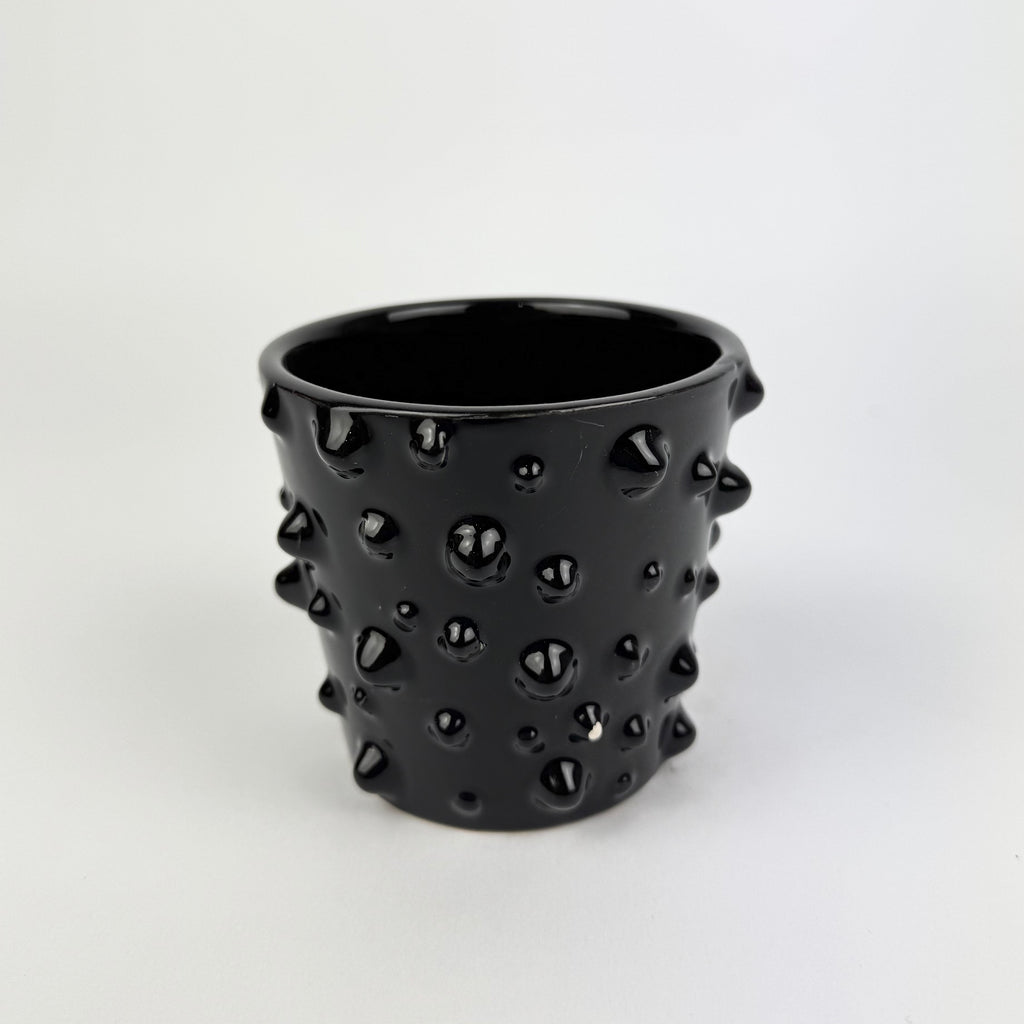 Desk Buddy Plant & Pot Bundle