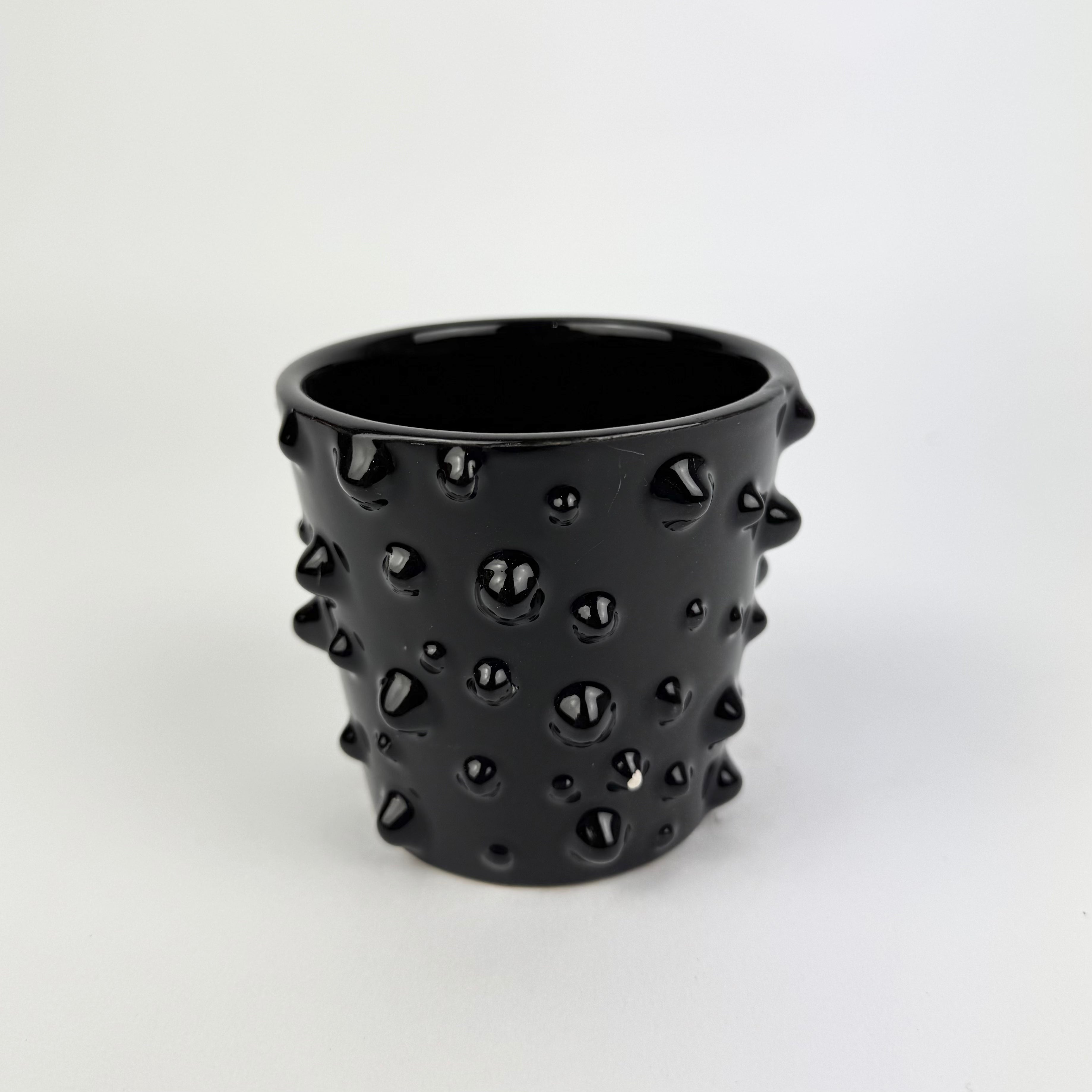 Desk Buddy Plant & Pot Bundle