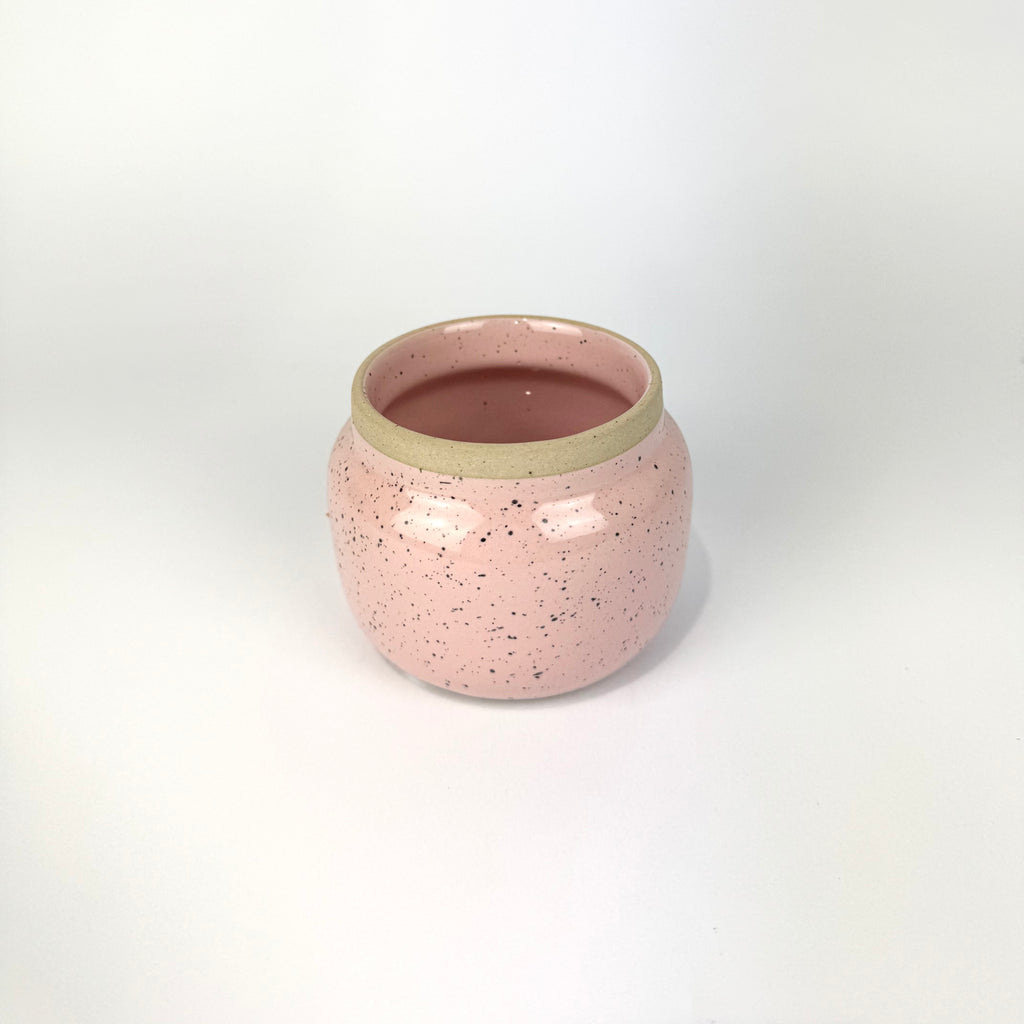 Desk Buddy Plant & Pot Bundle