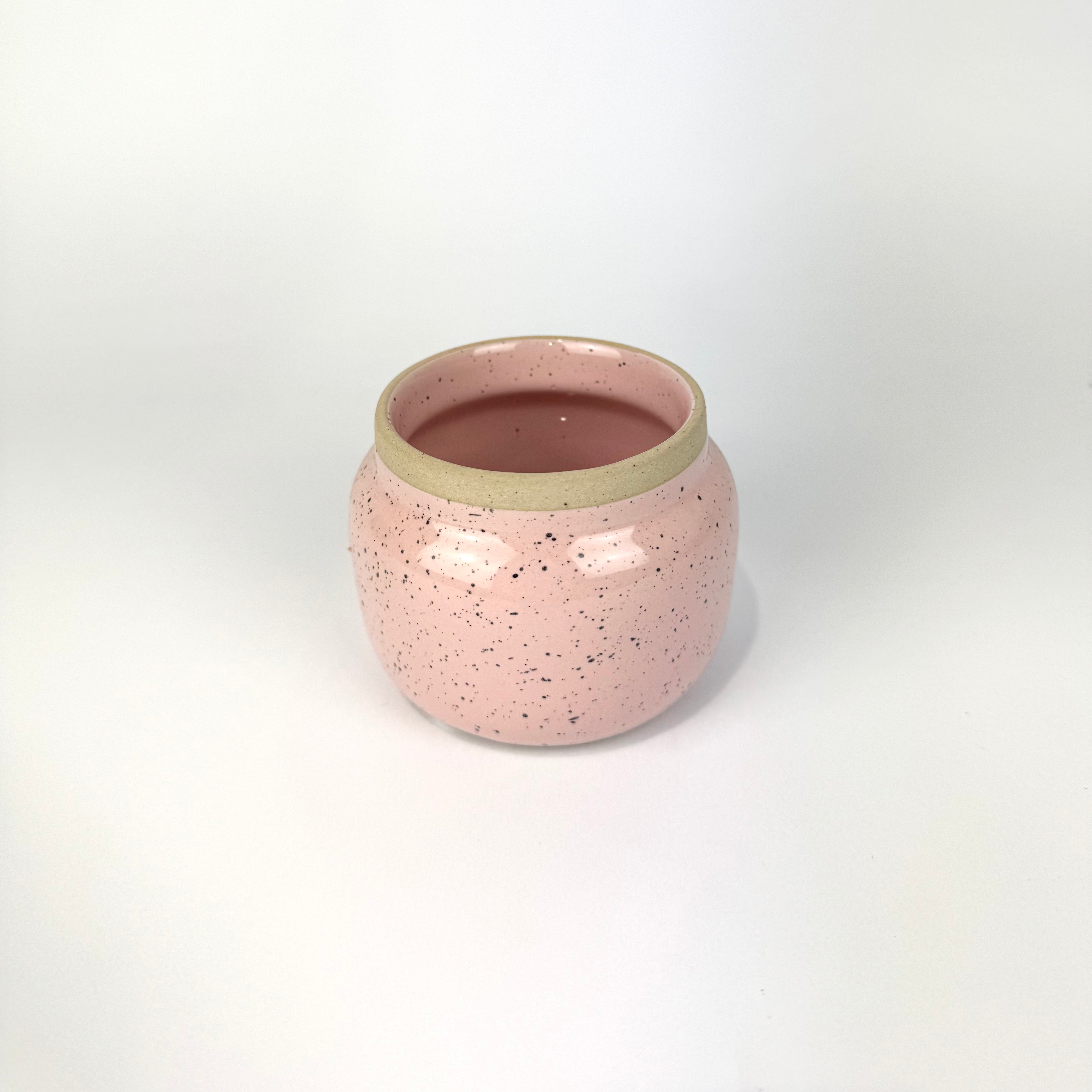 Desk Buddy Plant & Pot Bundle