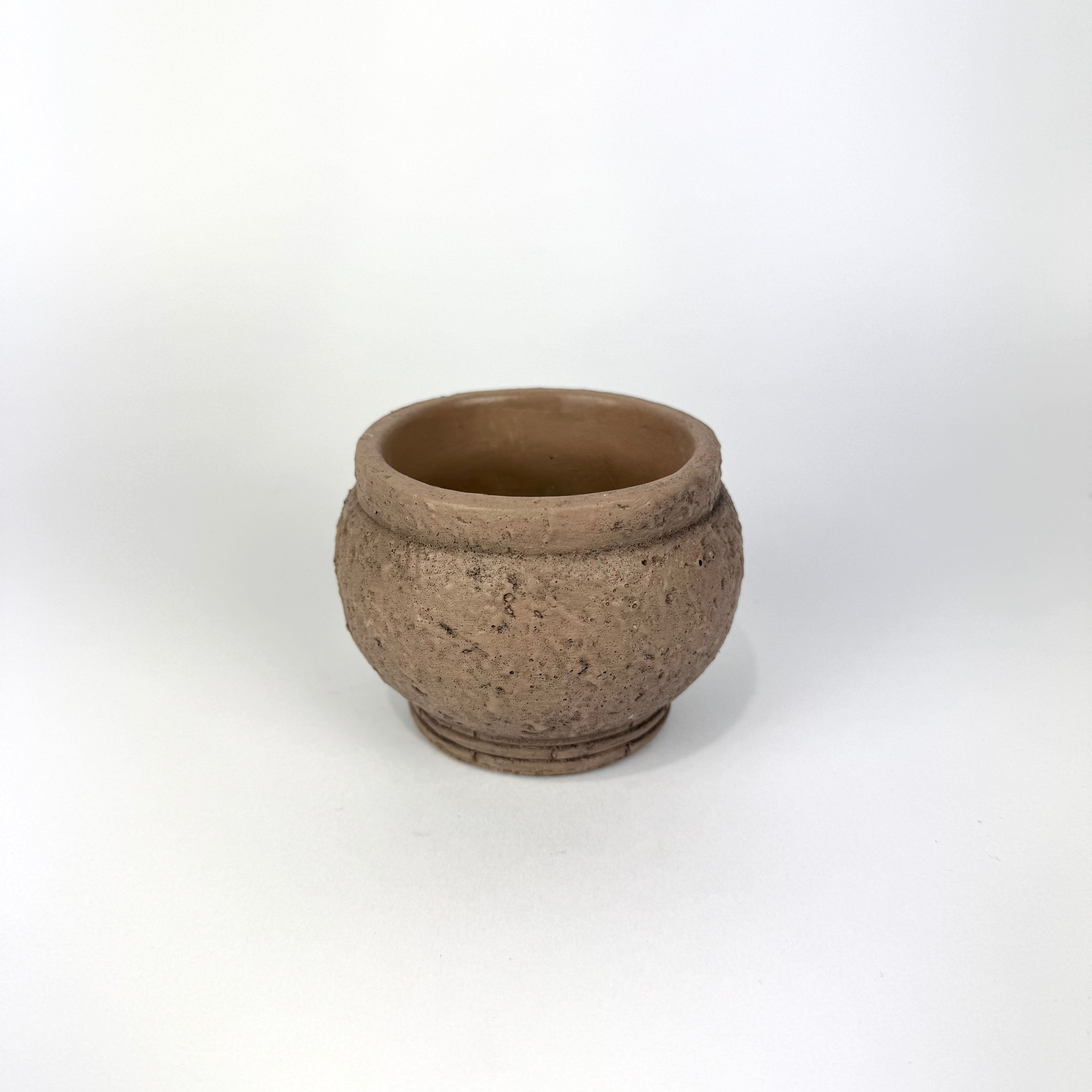 Desk Buddy Plant & Pot Bundle