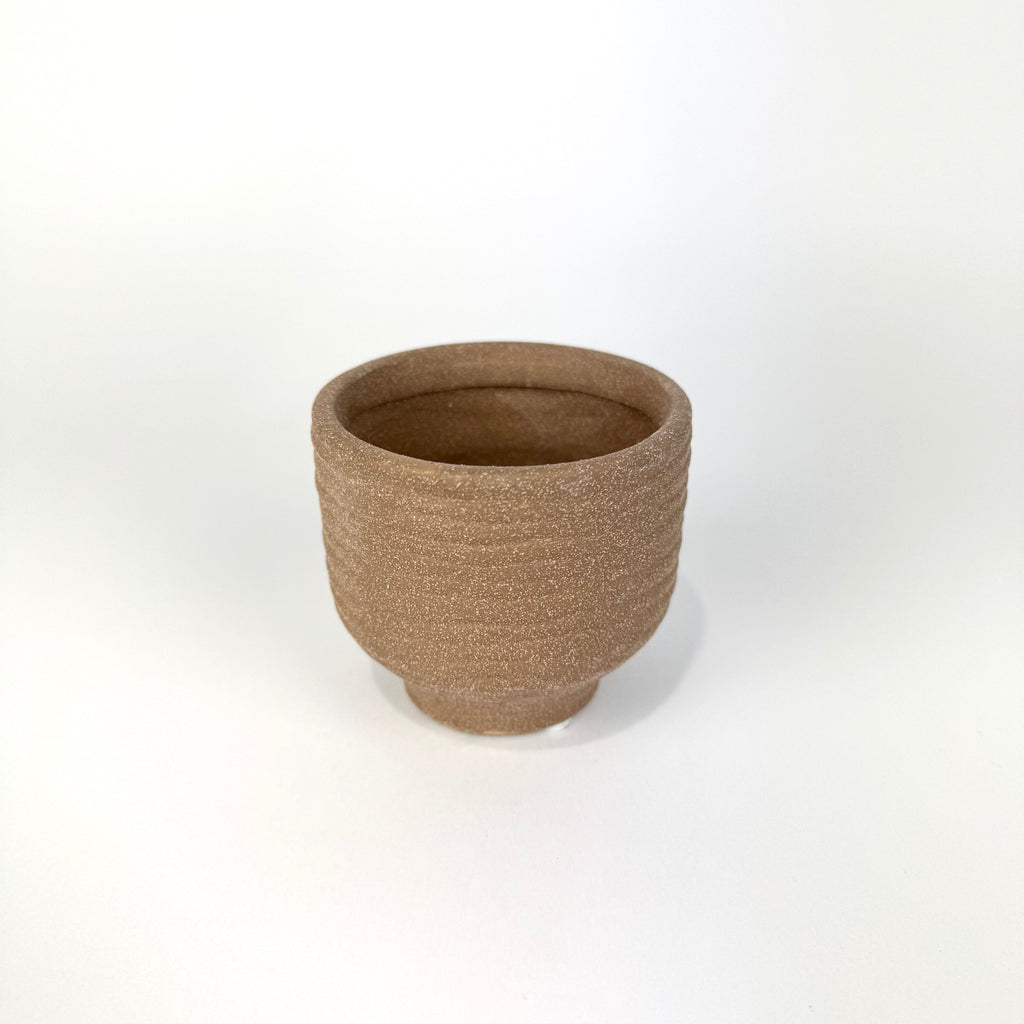 Desk Buddy Plant & Pot Bundle