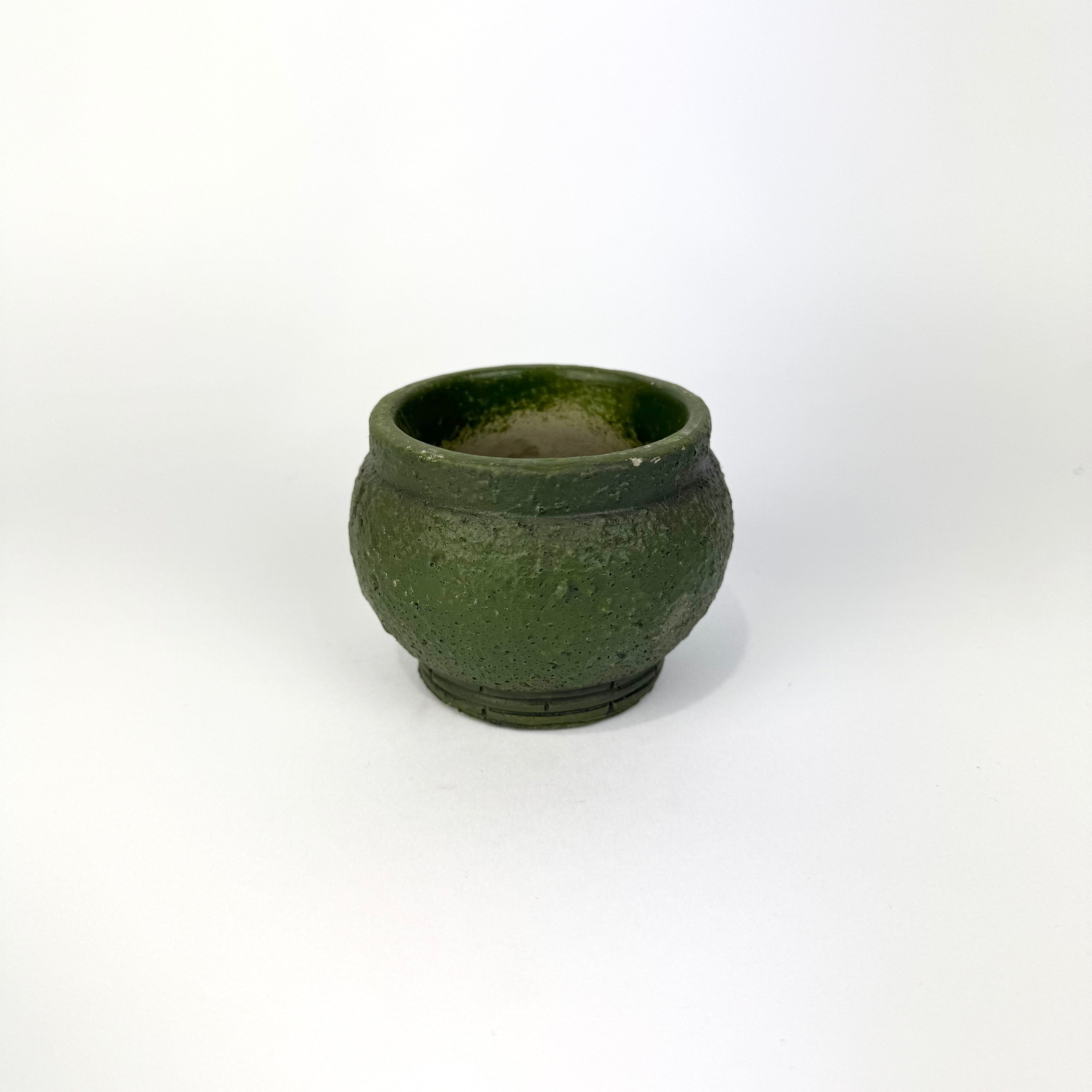 Desk Buddy Plant & Pot Bundle