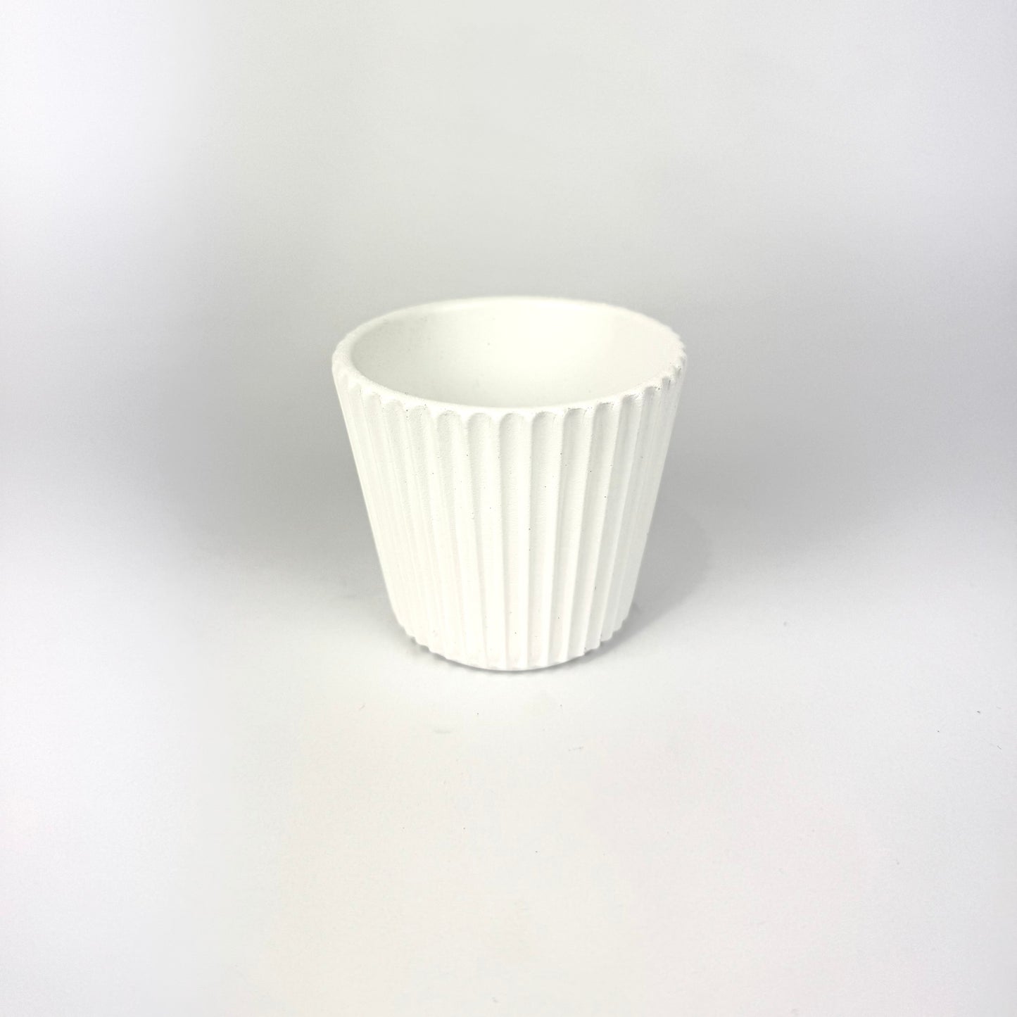 Desk Buddy Plant & Pot Bundle