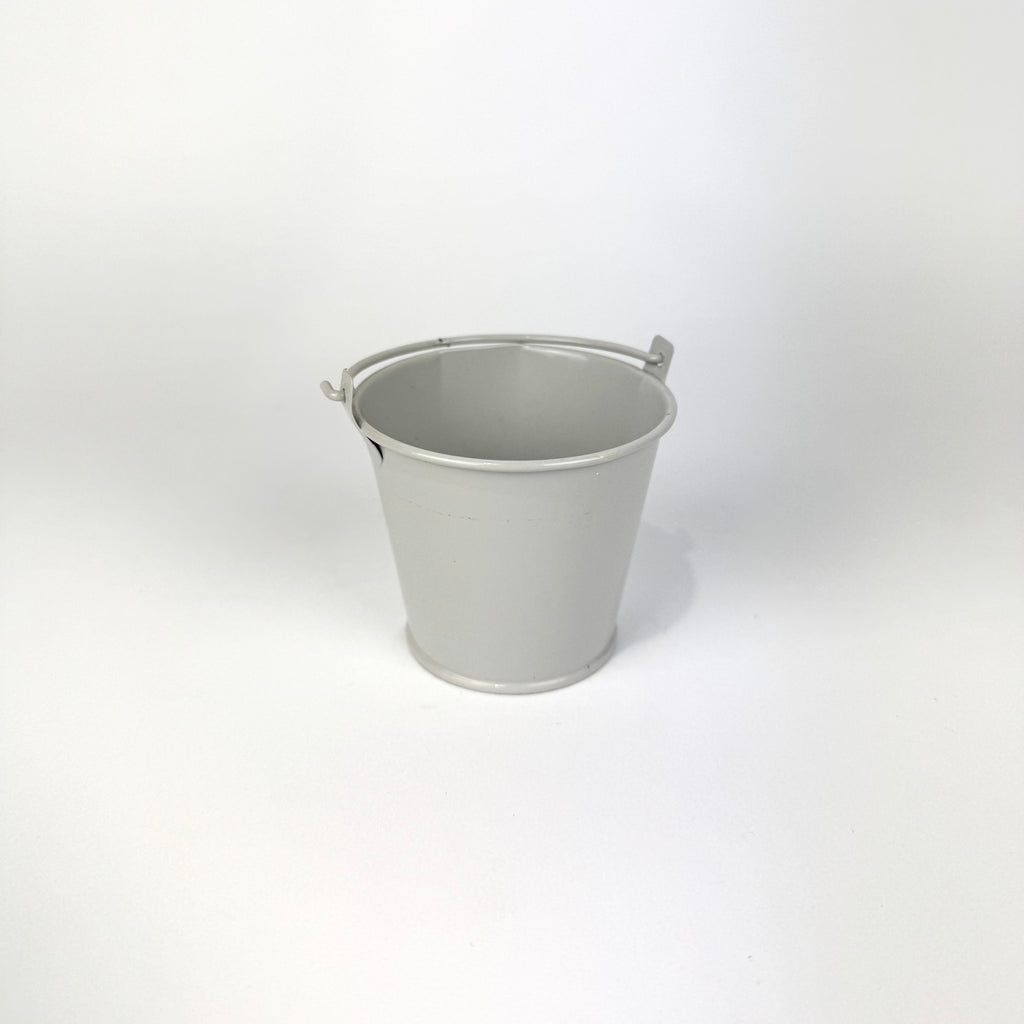 Desk Buddy Plant & Pot Bundle