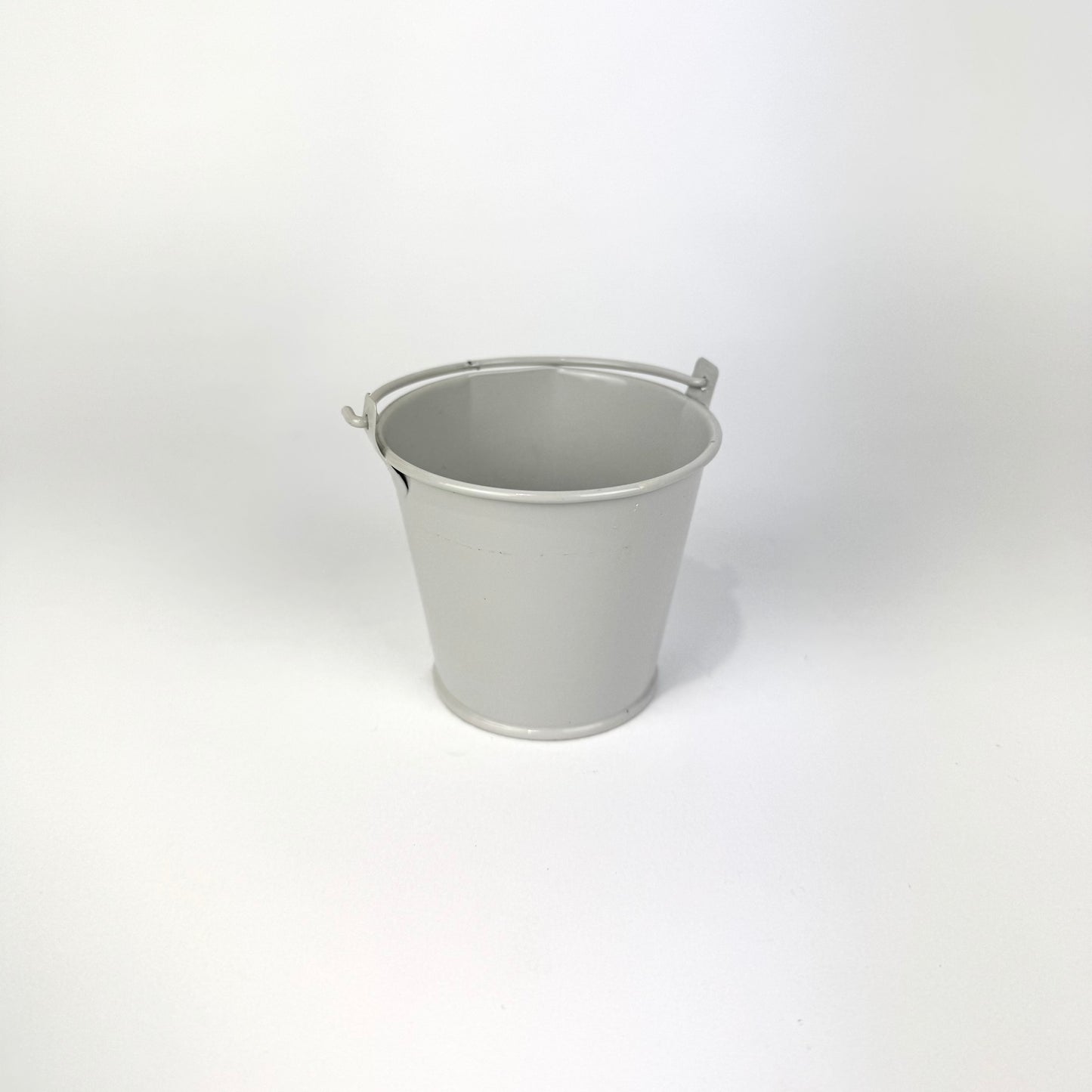 Desk Buddy Plant & Pot Bundle