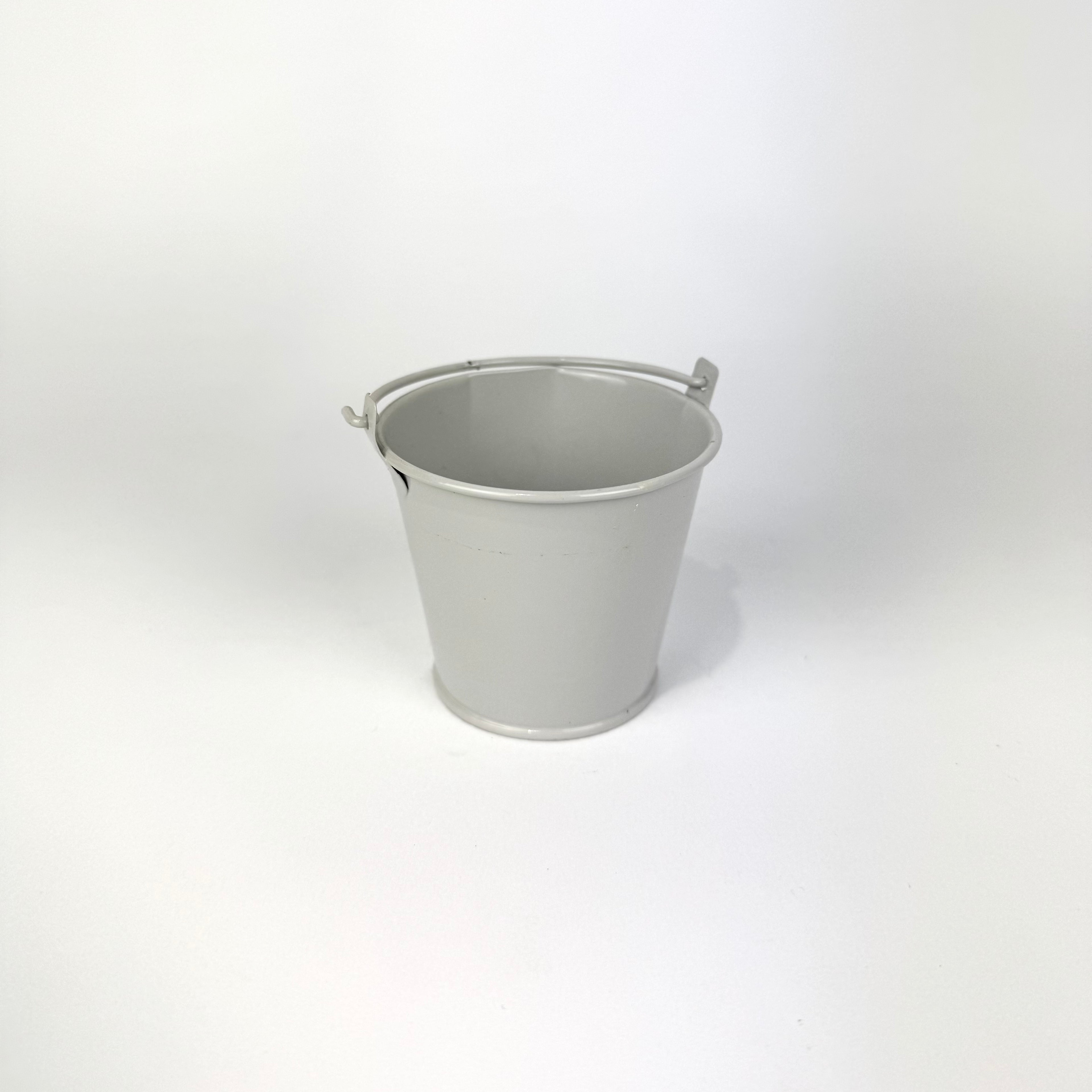 Desk Buddy Plant & Pot Bundle