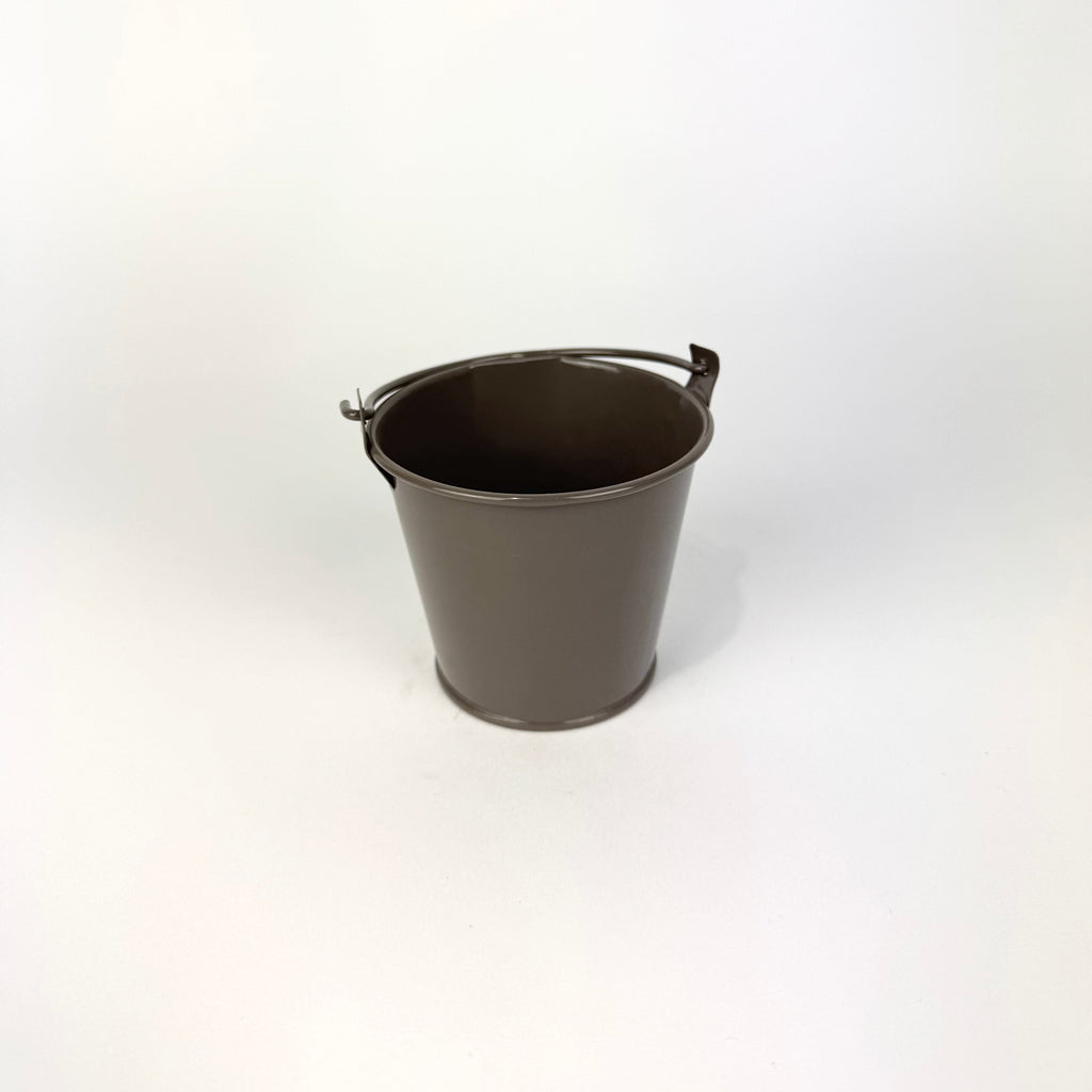 Desk Buddy Plant & Pot Bundle