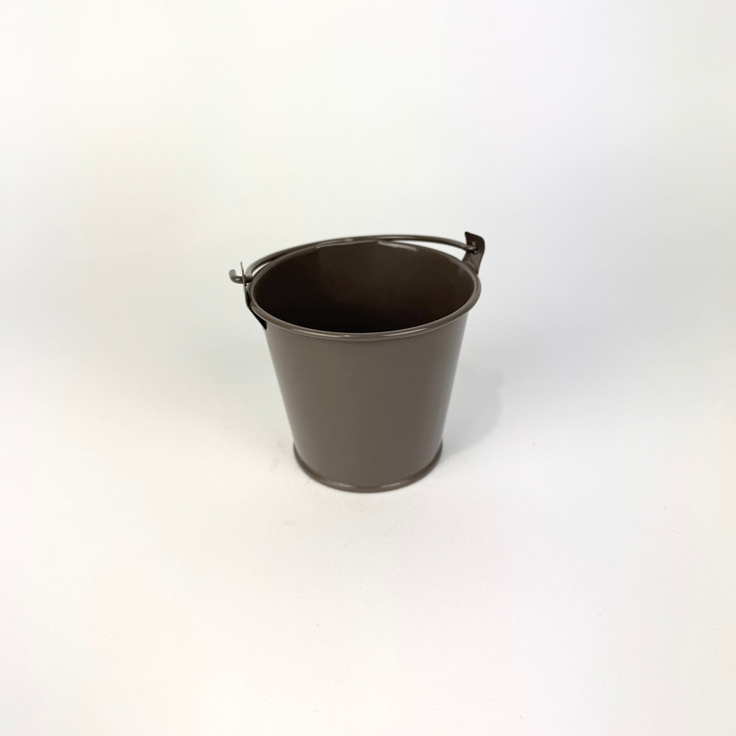 Desk Buddy Plant & Pot Bundle