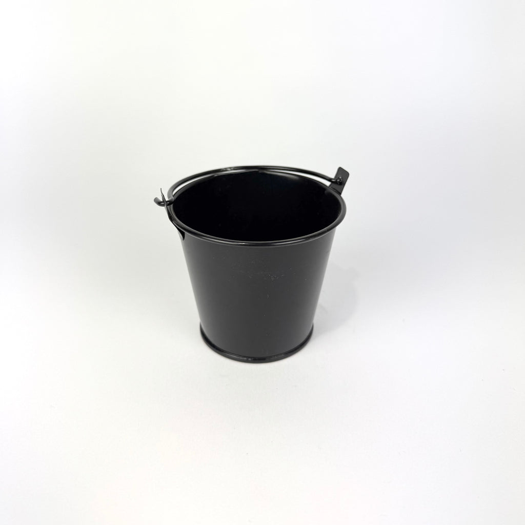 Desk Buddy Plant & Pot Bundle