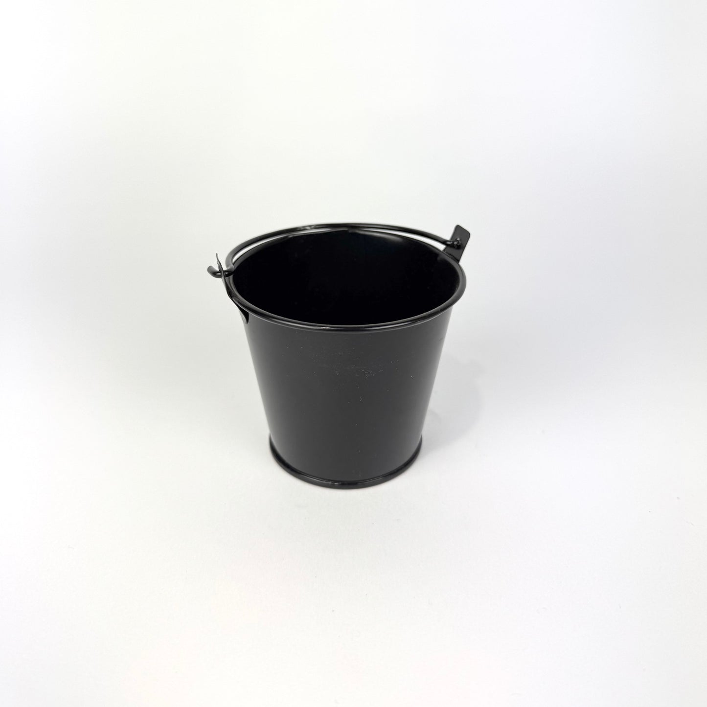 Desk Buddy Plant & Pot Bundle